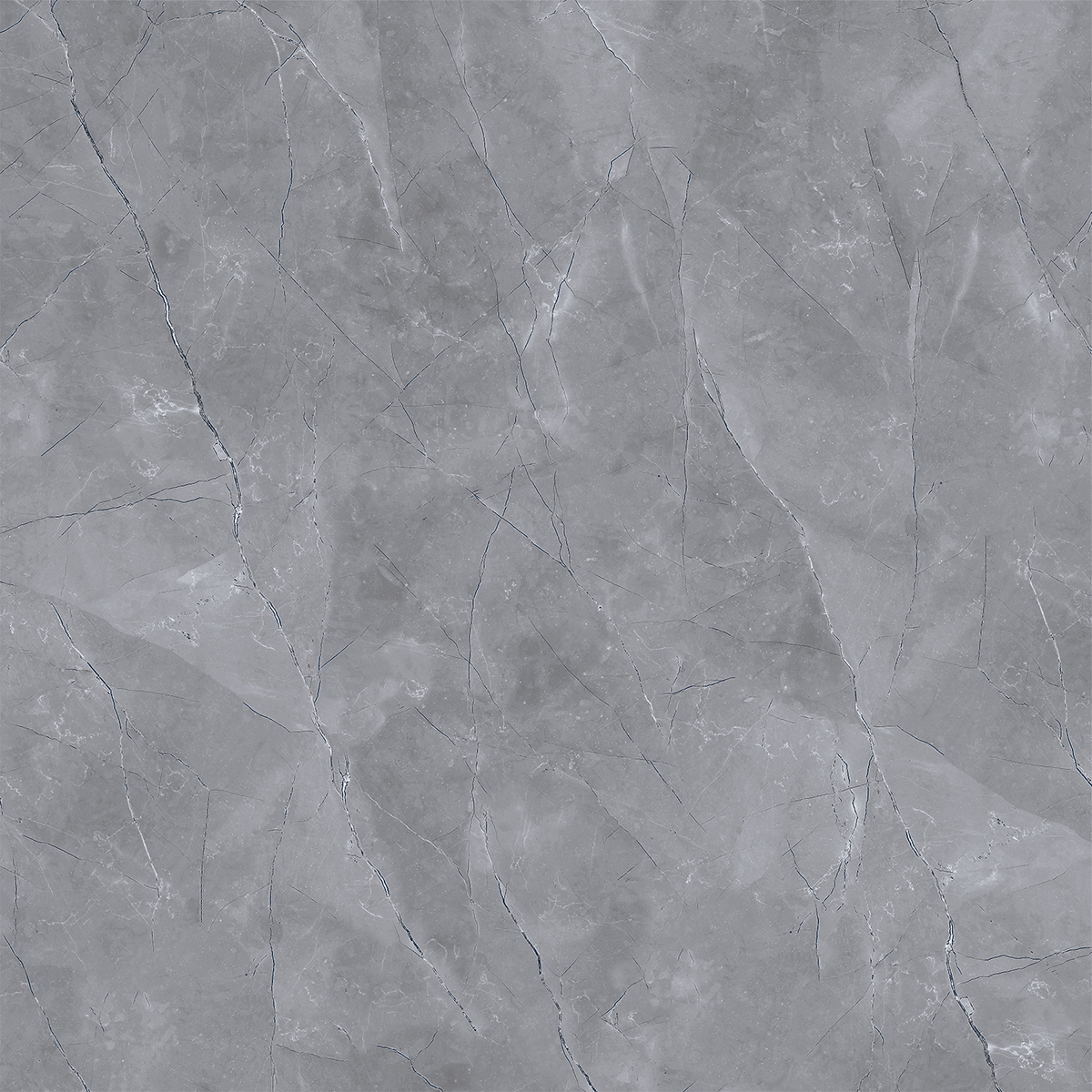ROYAL PULPIS DARK GREY