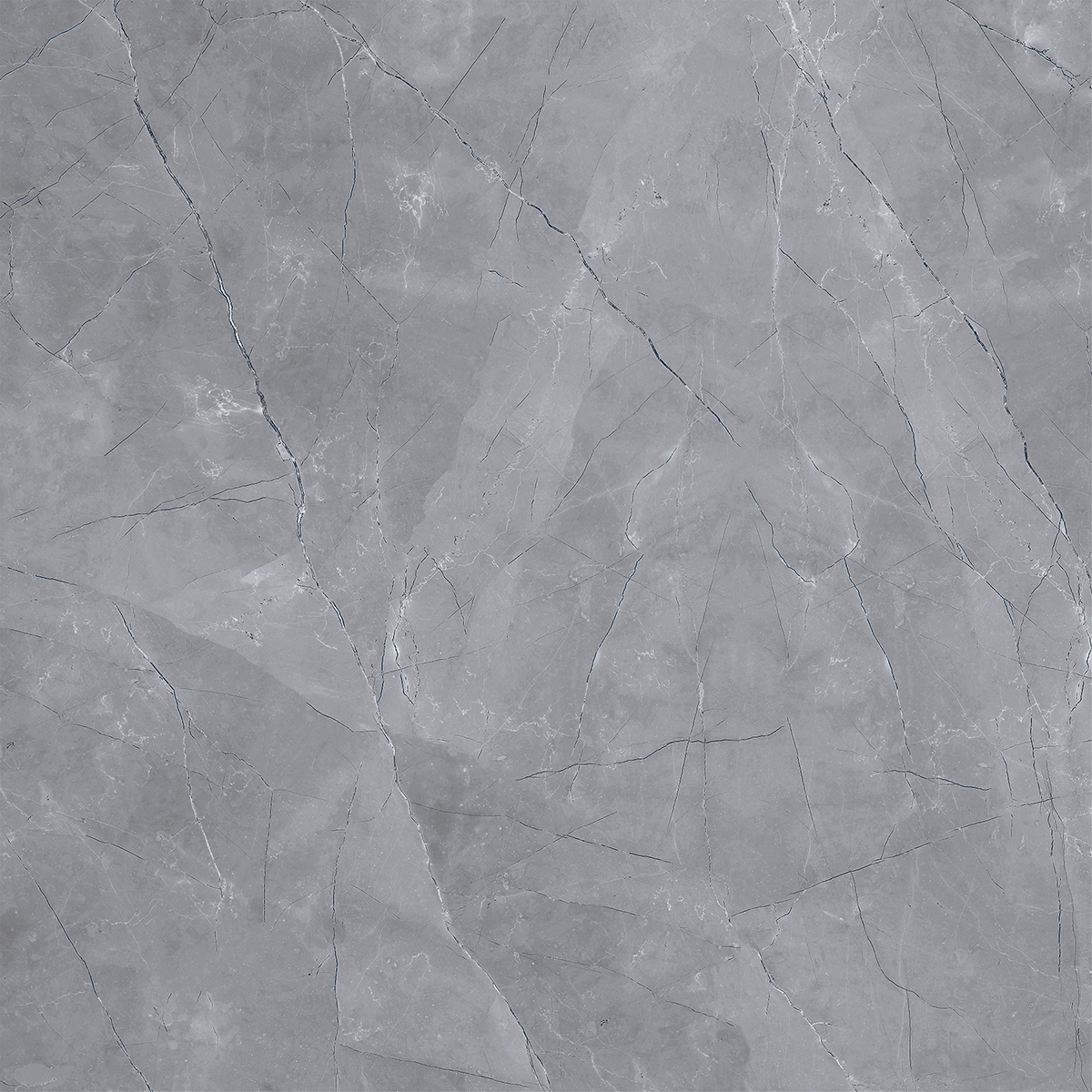 ROYAL PULPIS DARK GREY