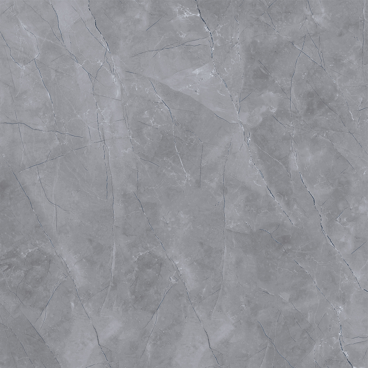 ROYAL PULPIS DARK GREY