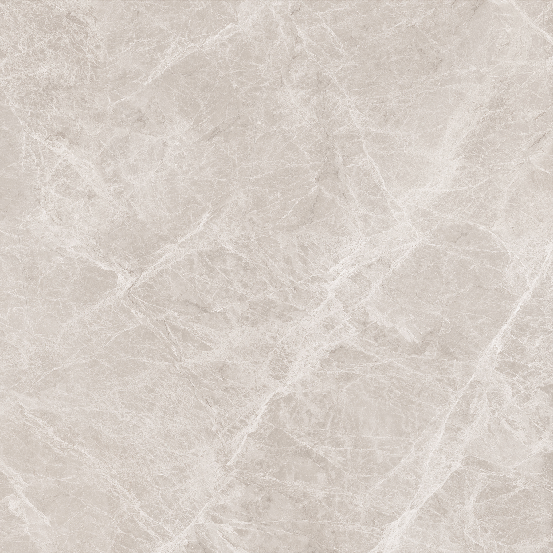 SPREDA TAUPE