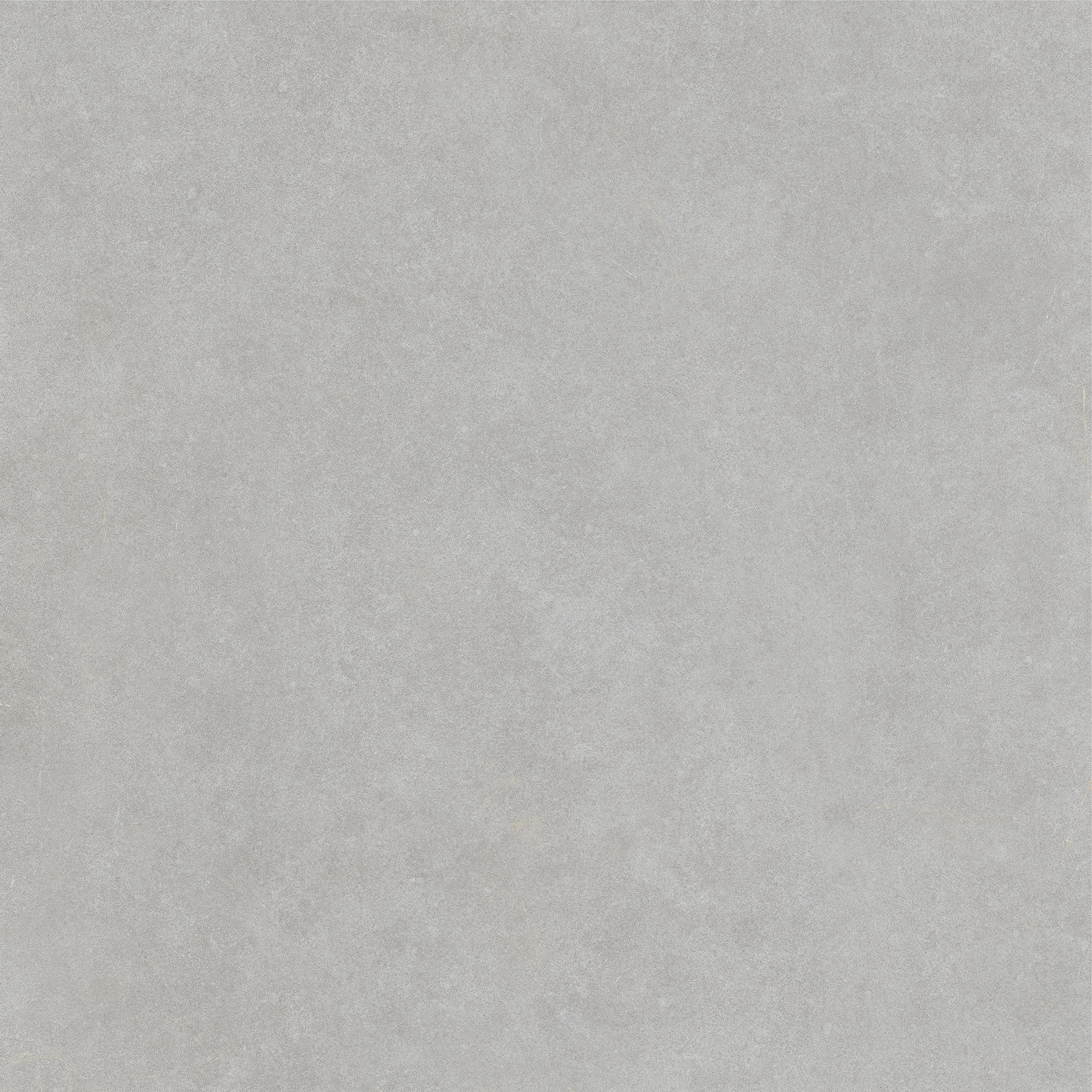 WILTON GRIS