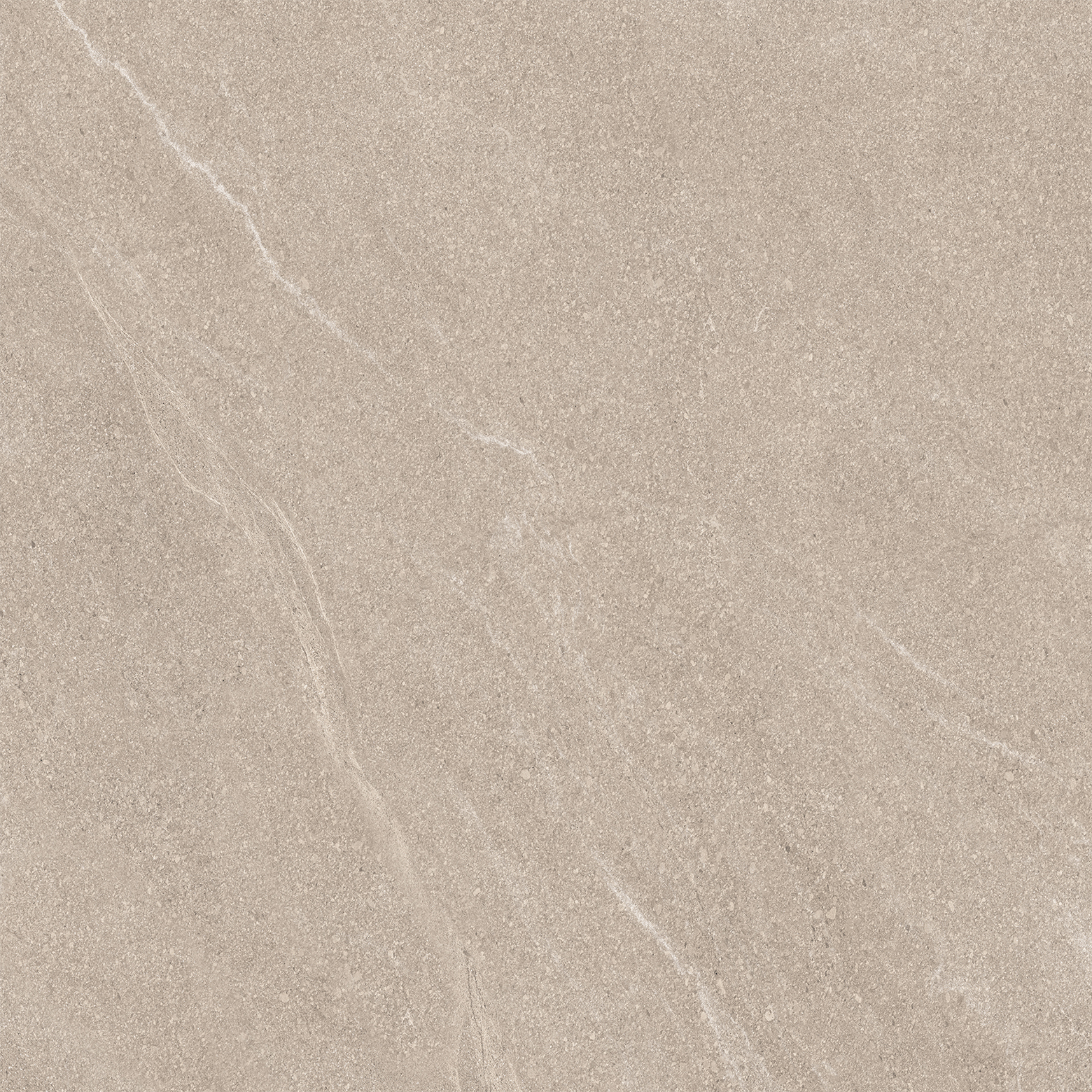 WOODSLATE DOVE