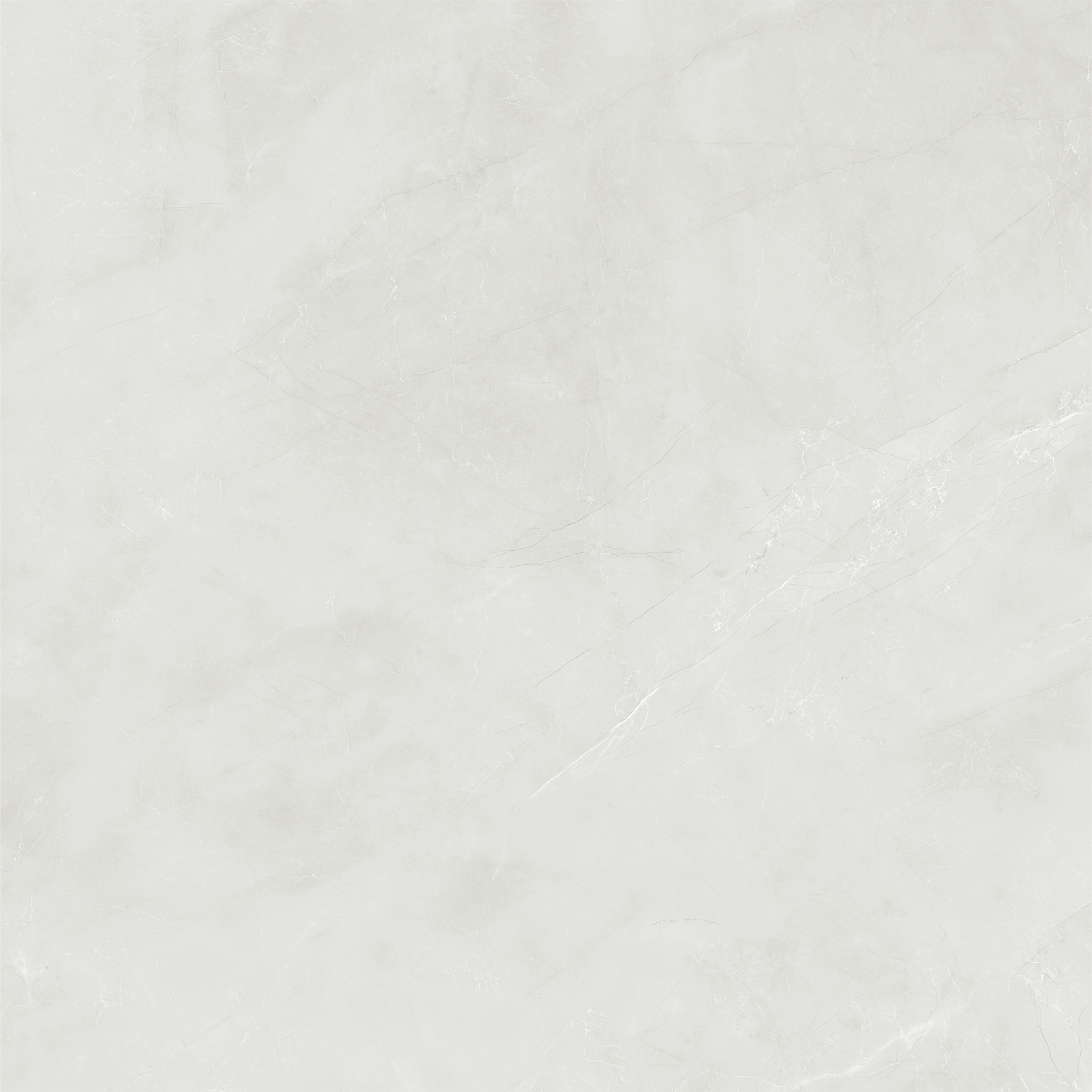 ZOTAK BIANCO