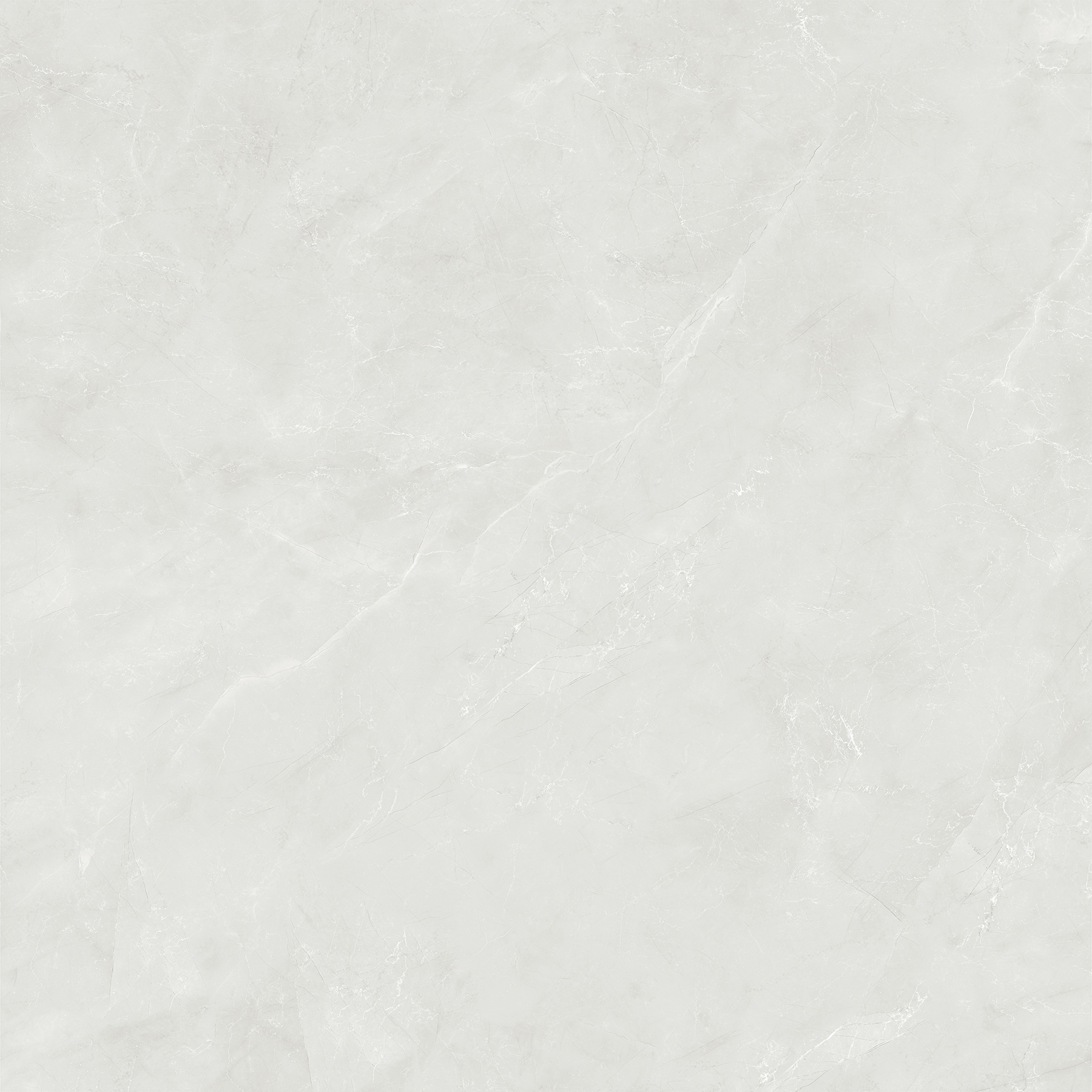 ZOTAK BIANCO