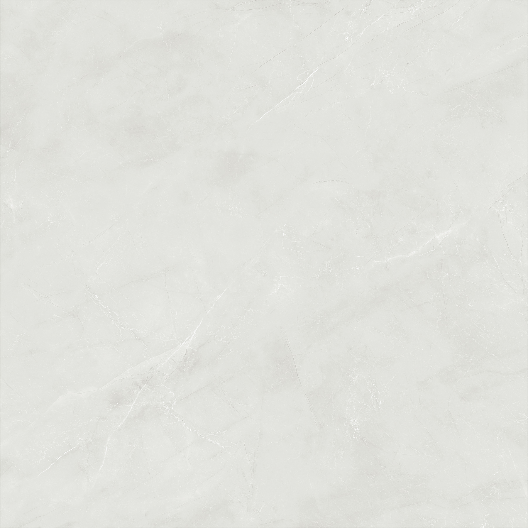ZOTAK BIANCO