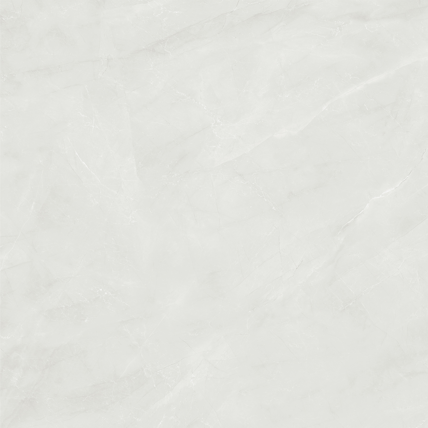 ZOTAK BIANCO