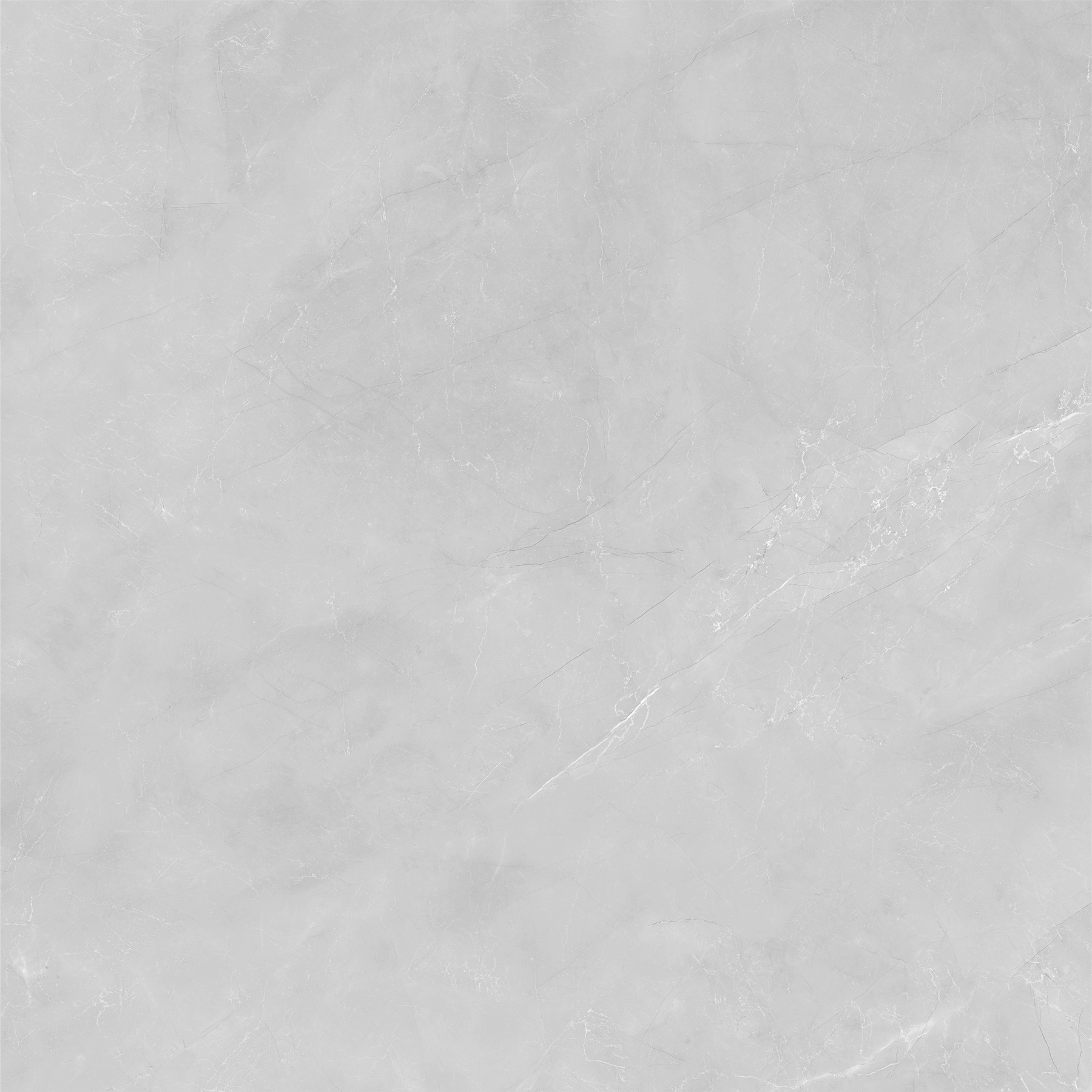 ZOTAK GREY