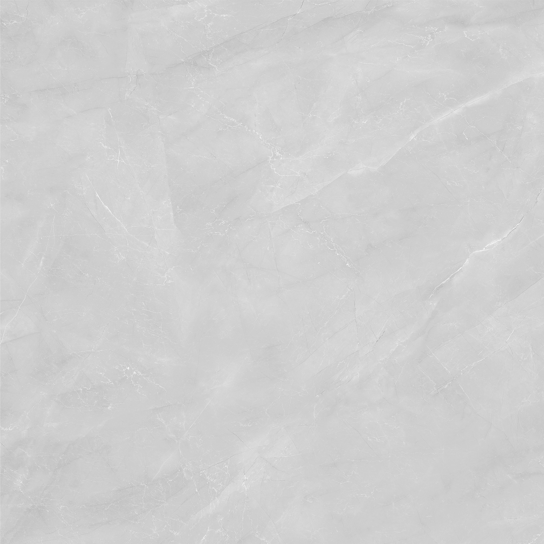 ZOTAK GREY