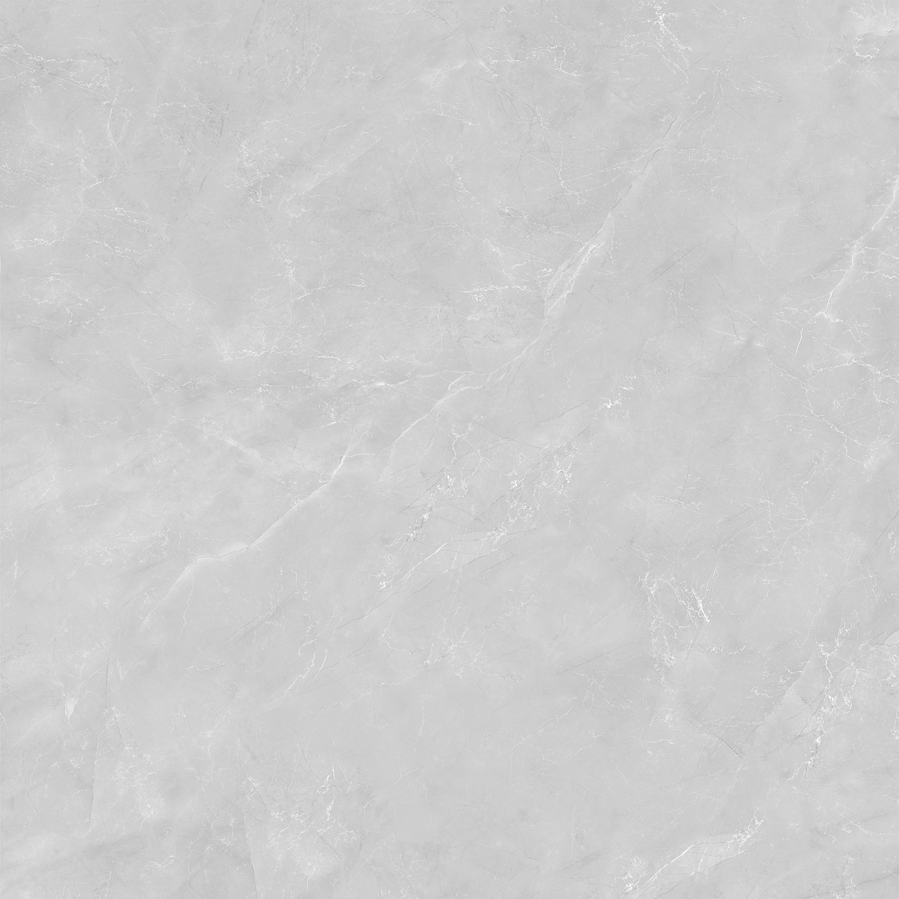 ZOTAK GREY