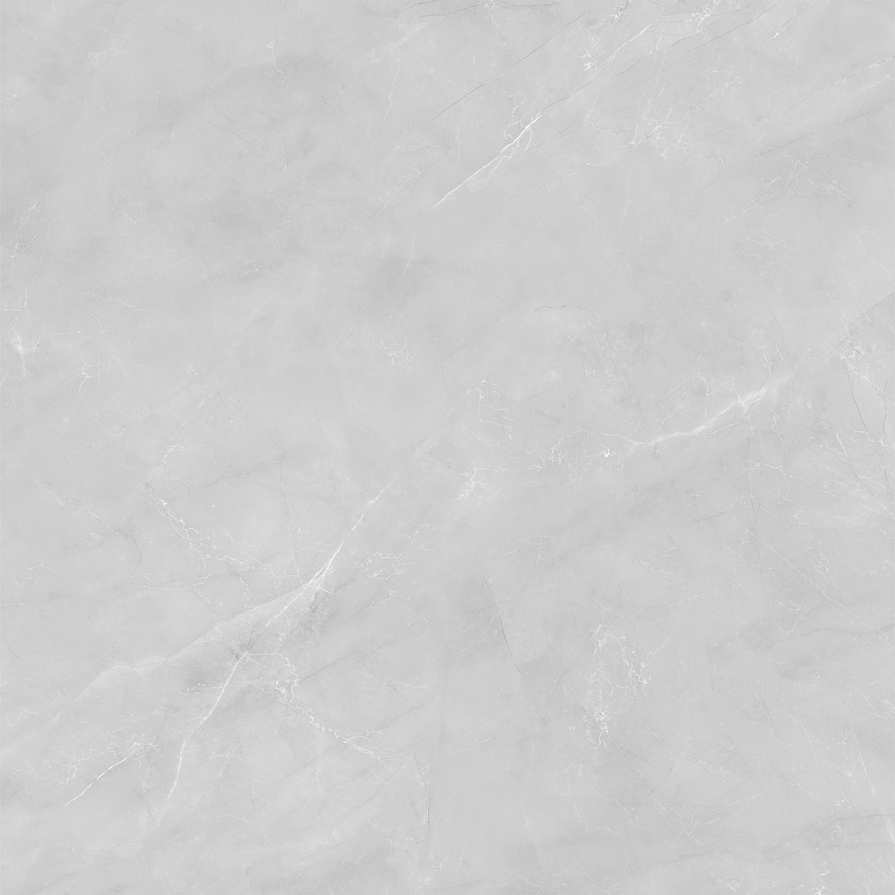 ZOTAK GREY