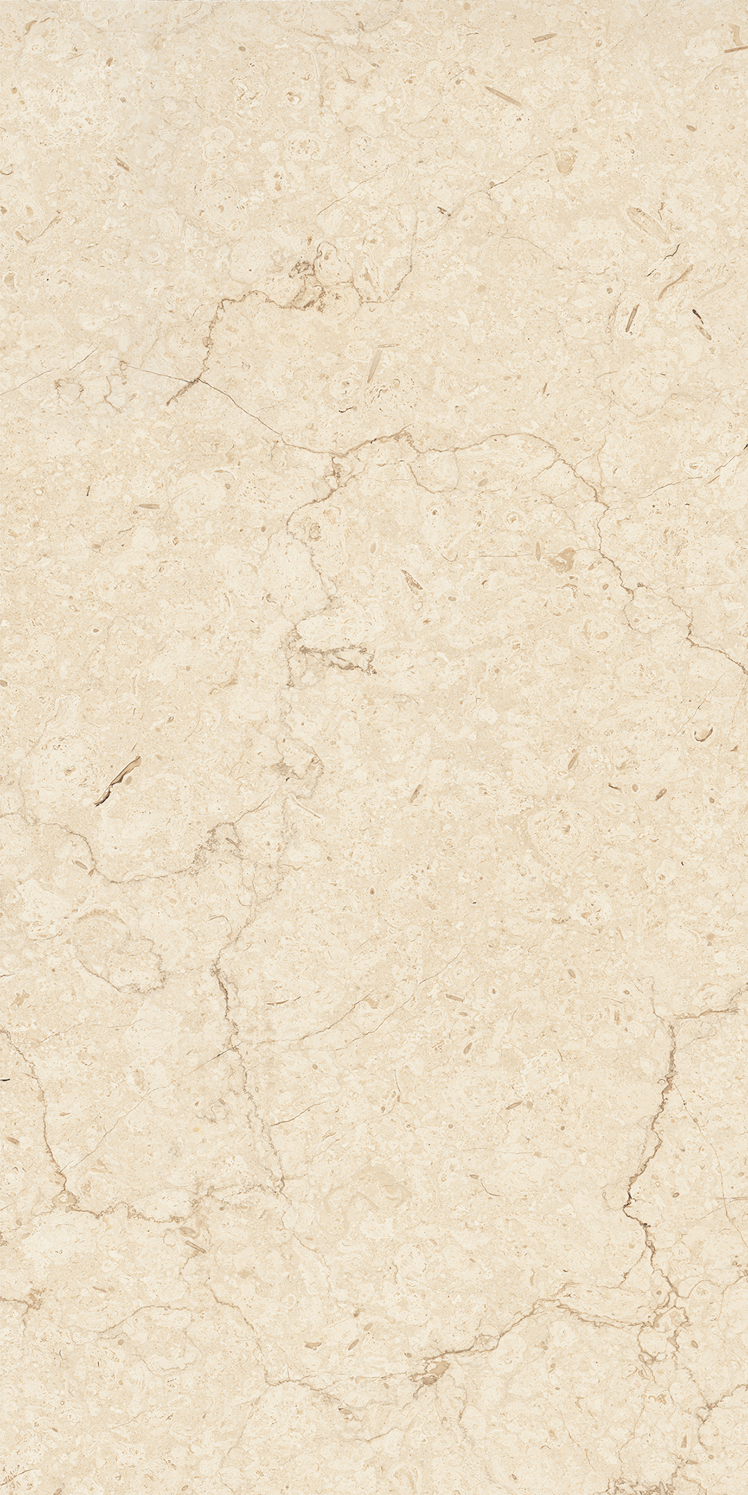 ARENA ELITE BEIGE