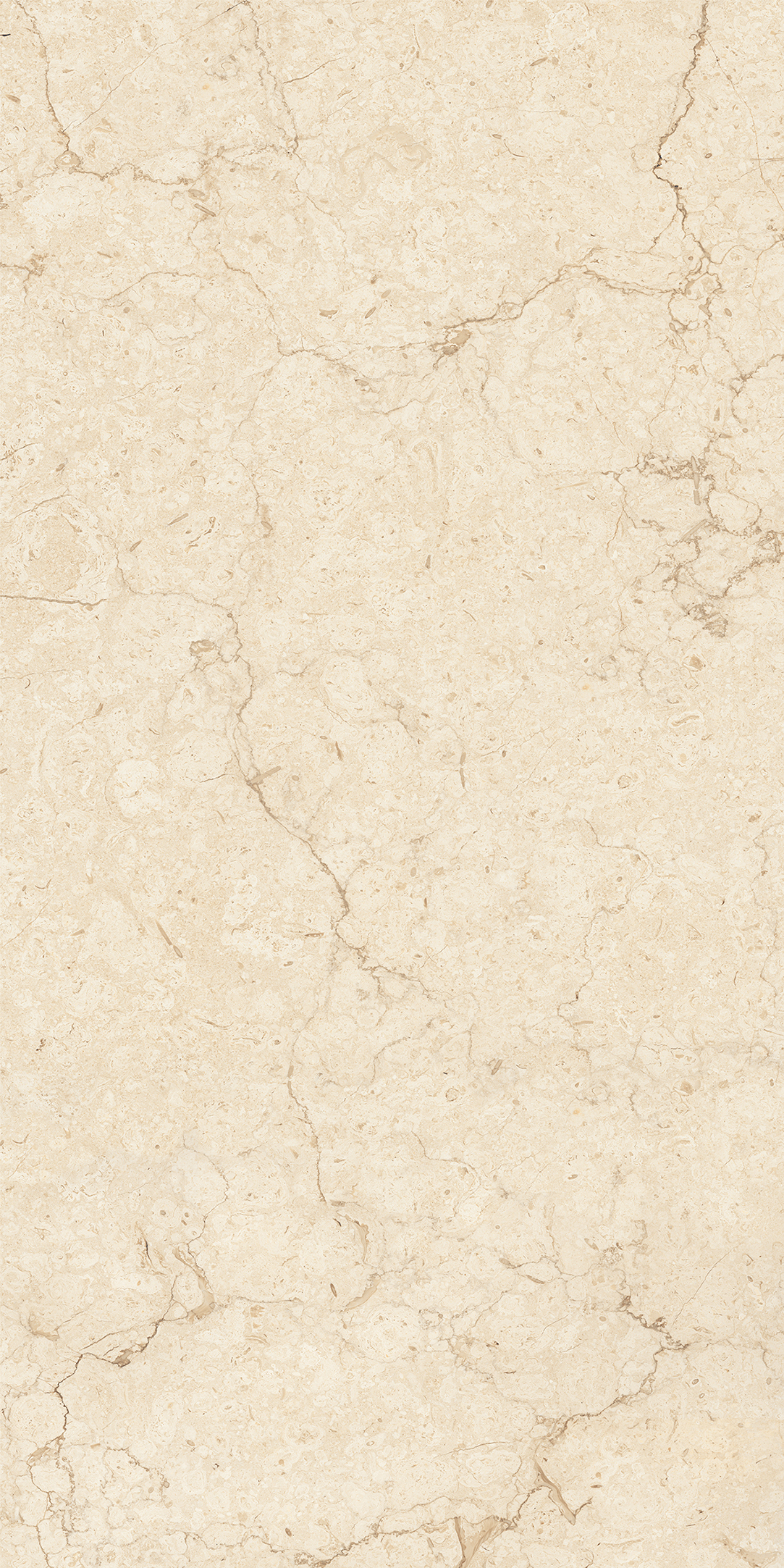 ARENA ELITE BEIGE
