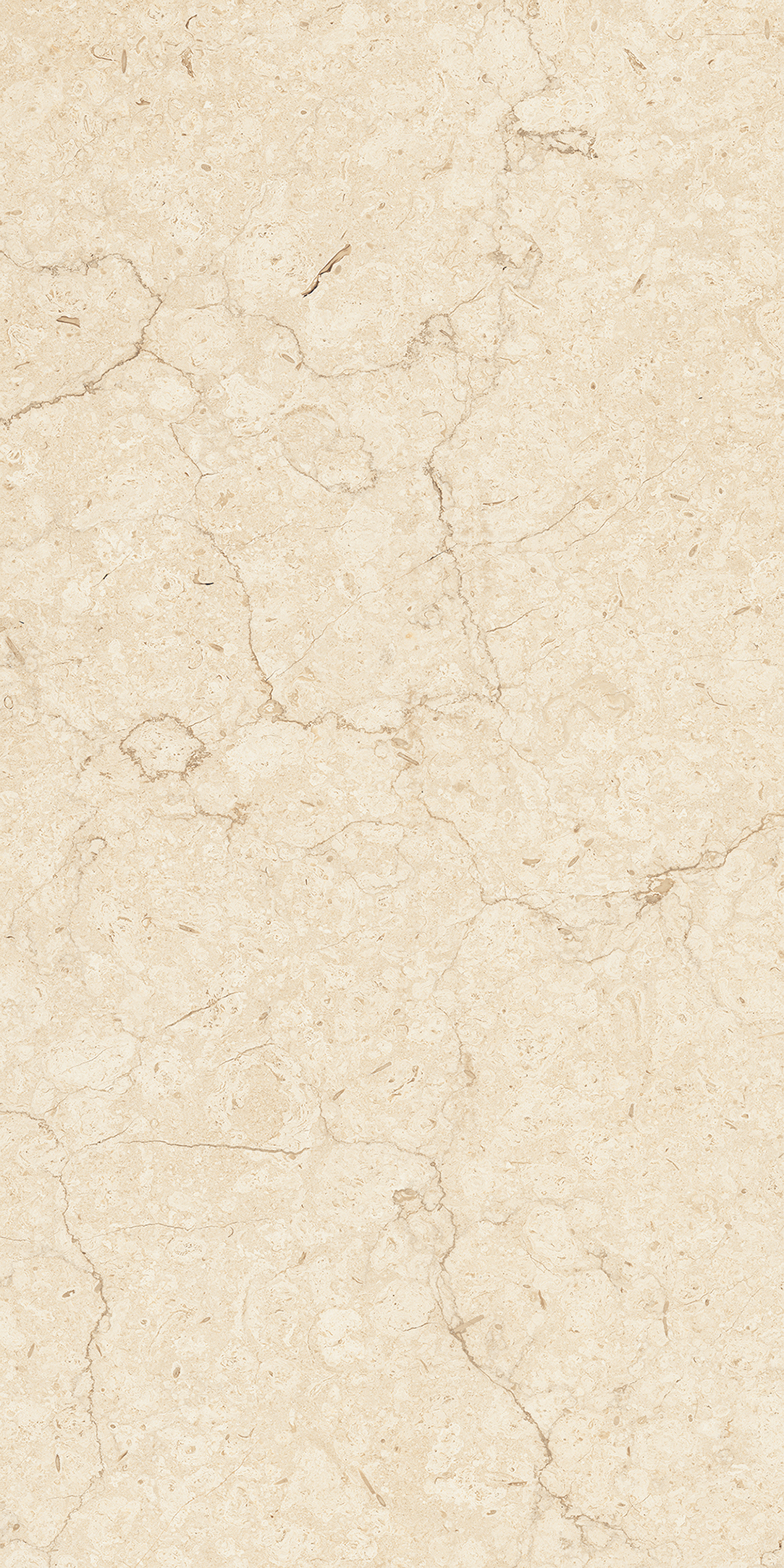 ARENA ELITE BEIGE