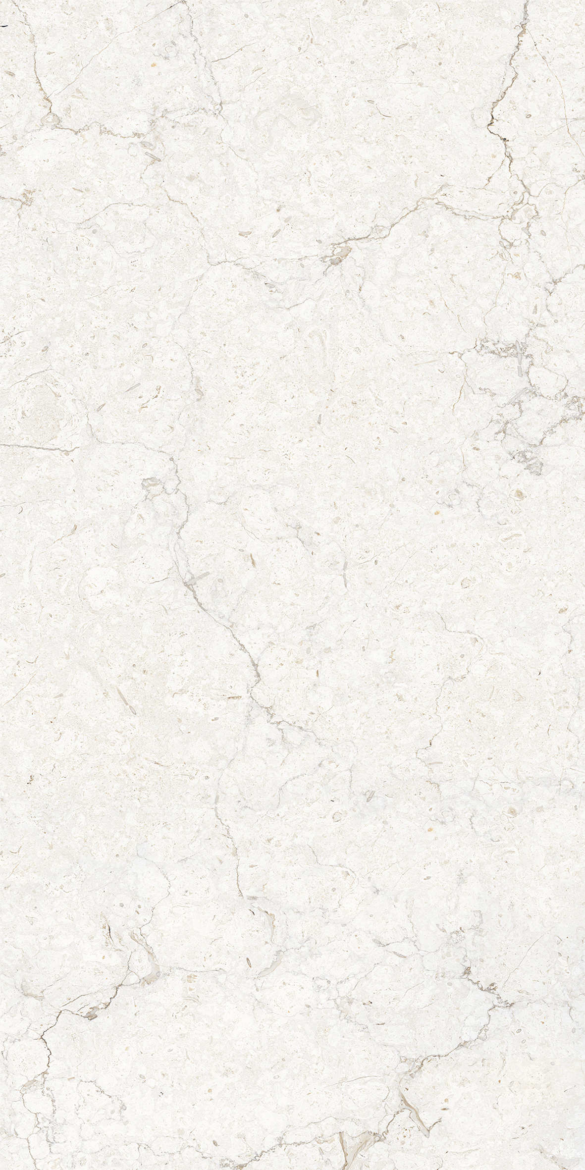 ARENA ELITE WHITE