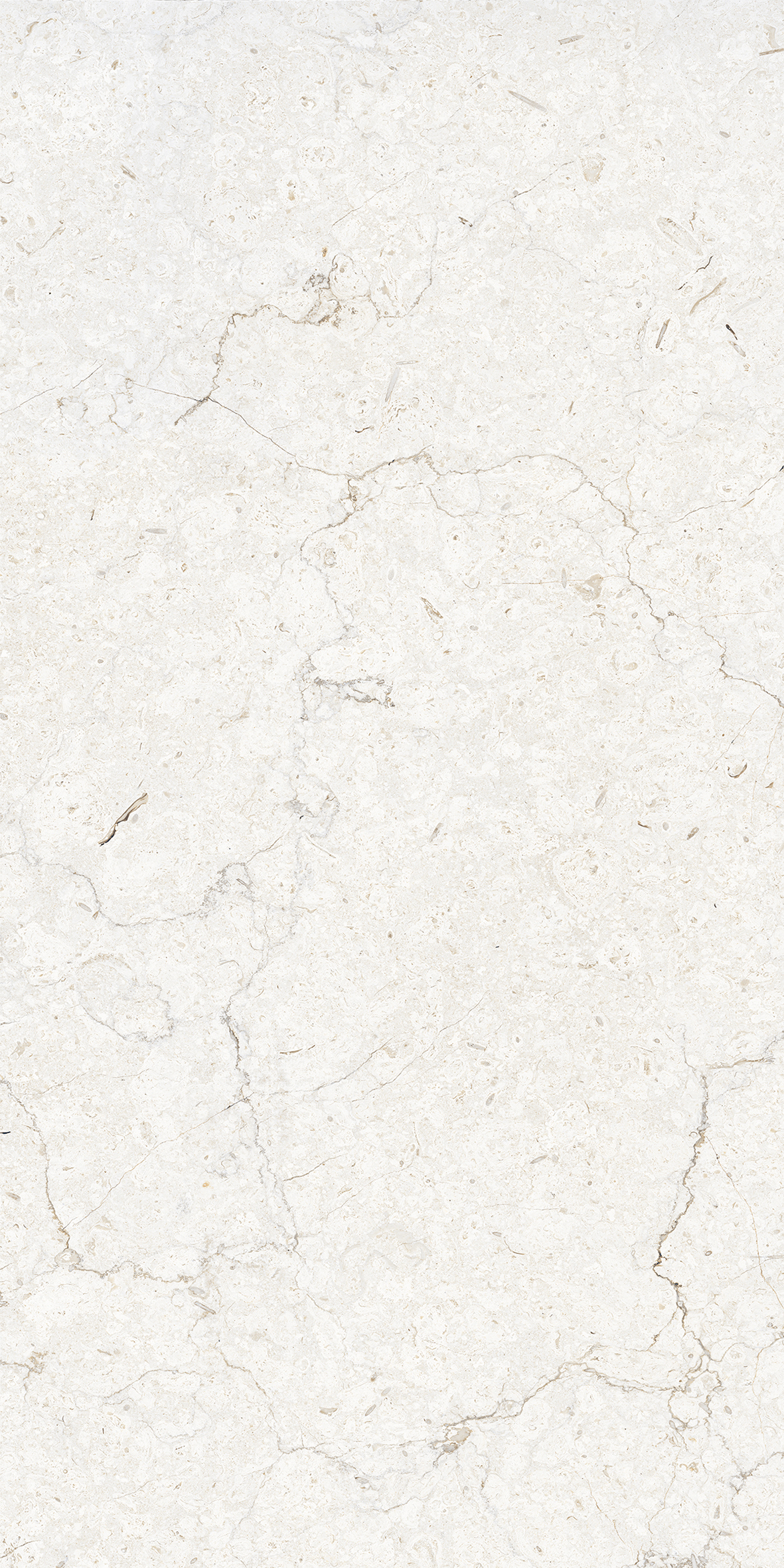 ARENA ELITE WHITE