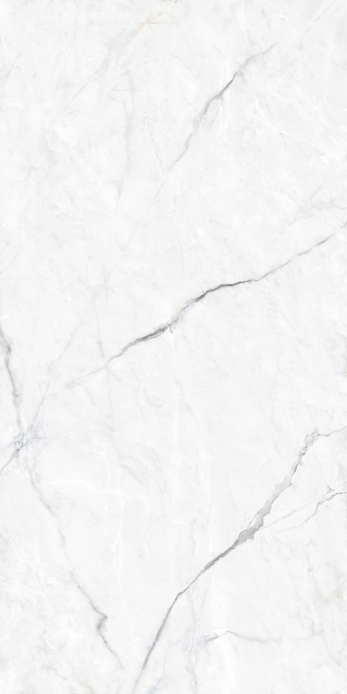 BLAZE BIANCO
