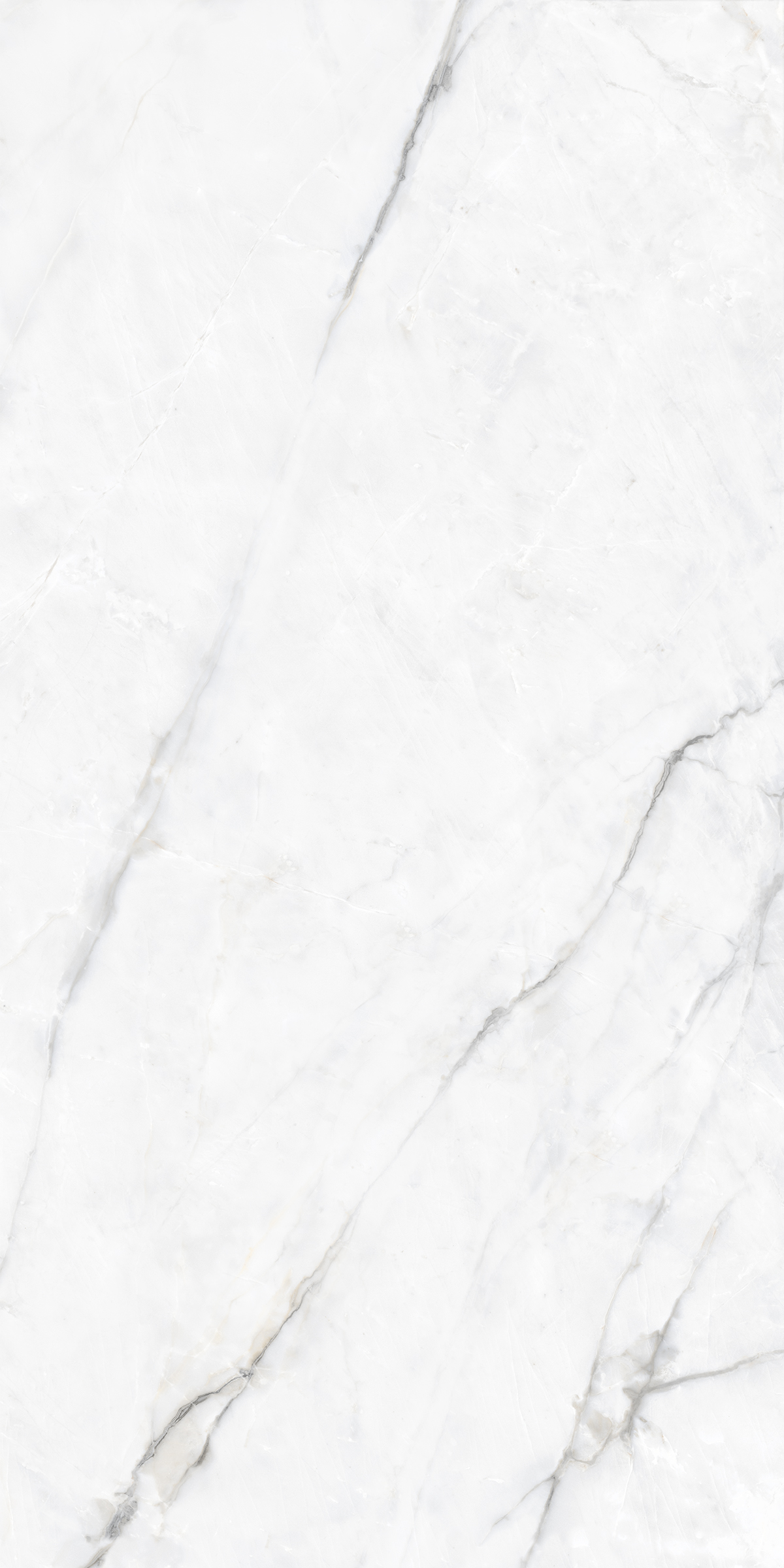 BLAZE BIANCO