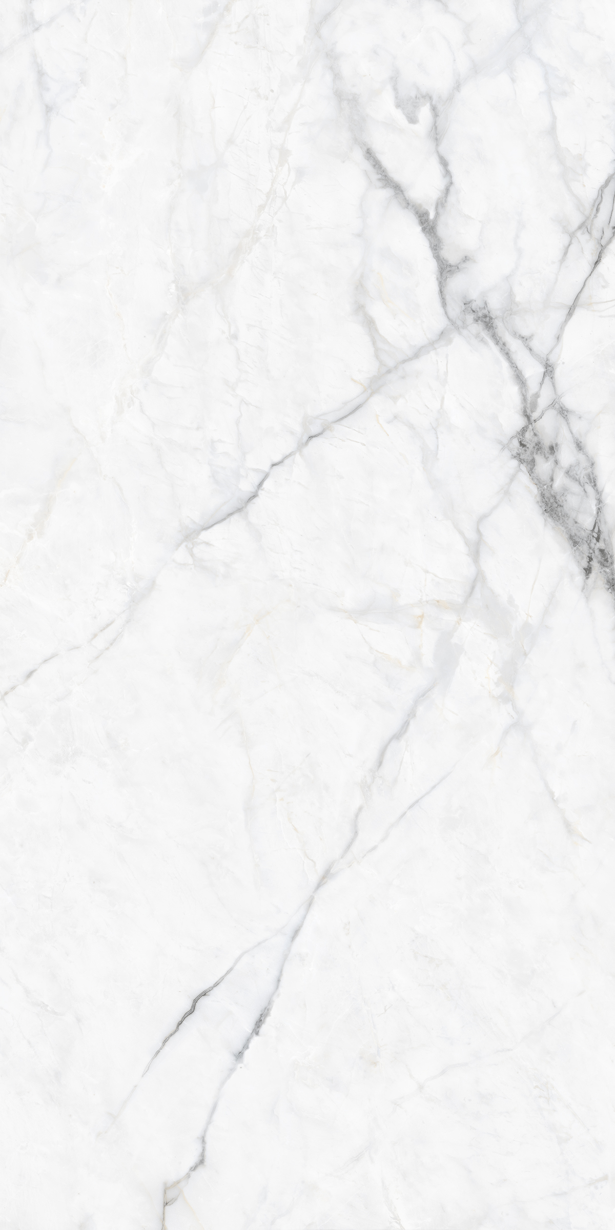 BLAZE BIANCO