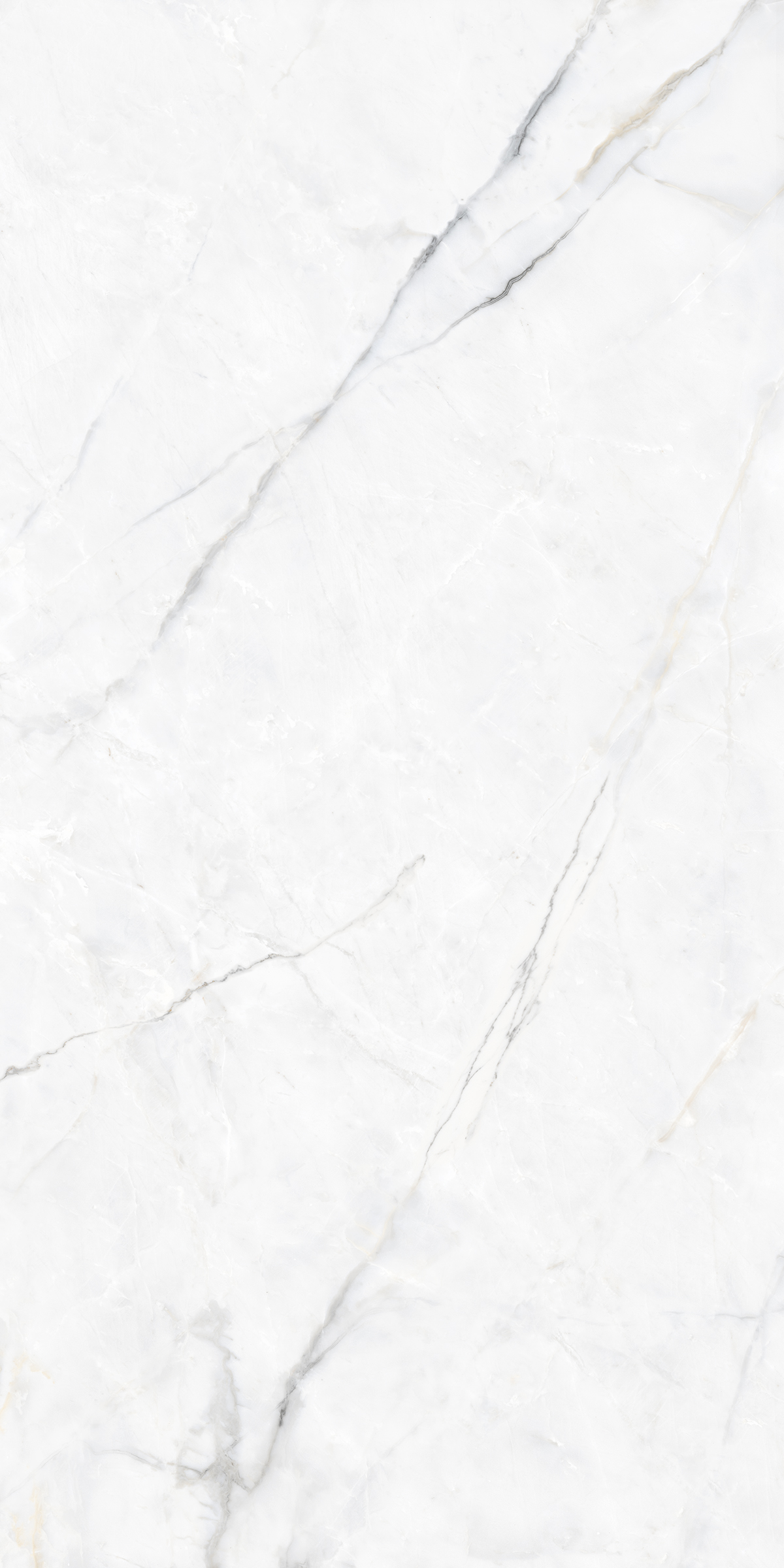 BLAZE BIANCO