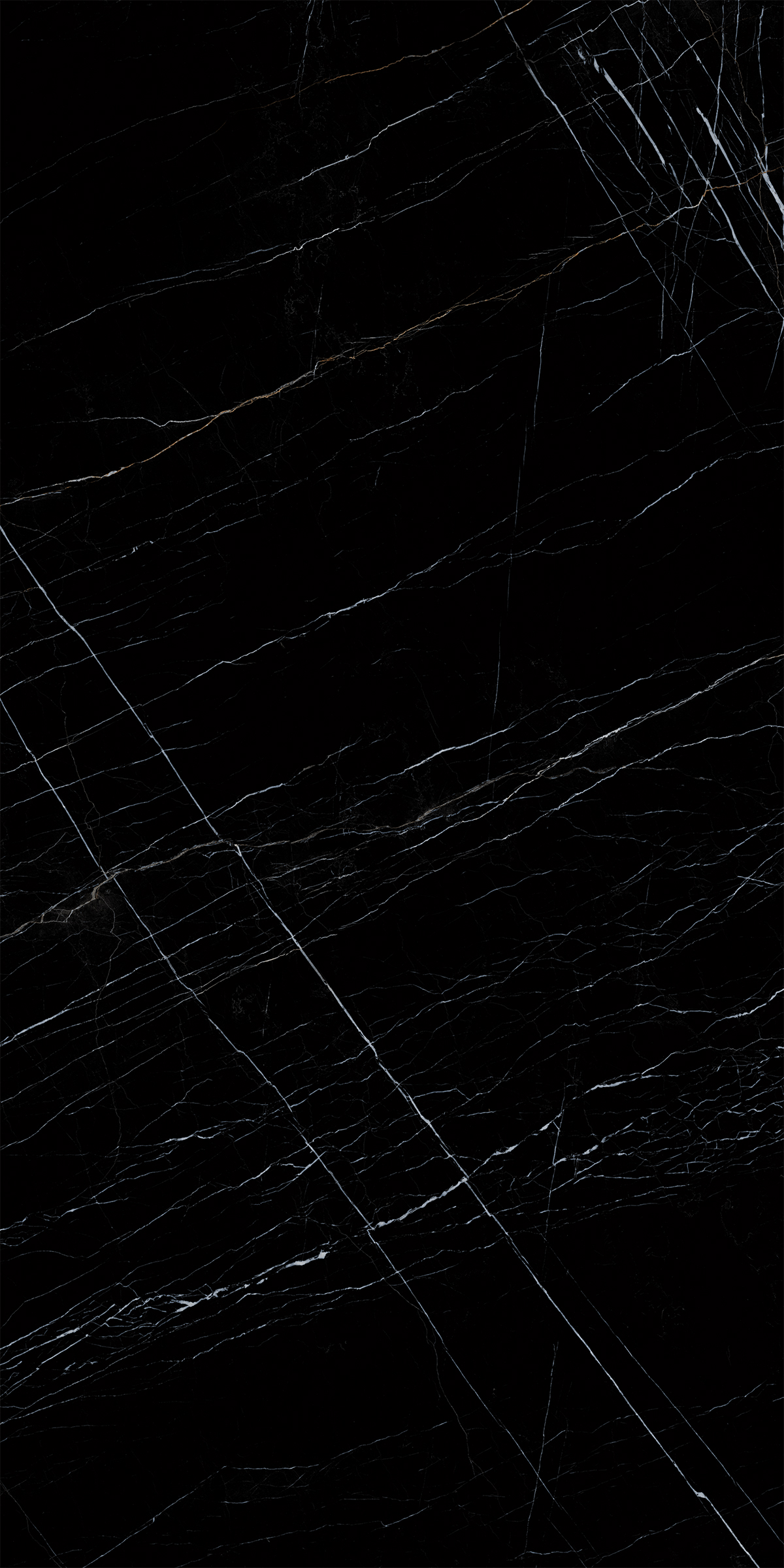 BOSNIA BLACK
