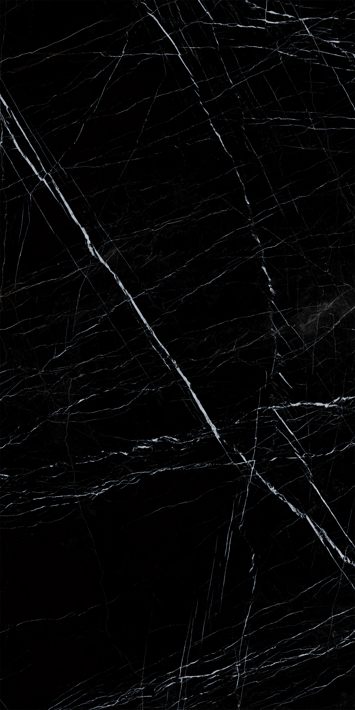 BOSNIA BLACK