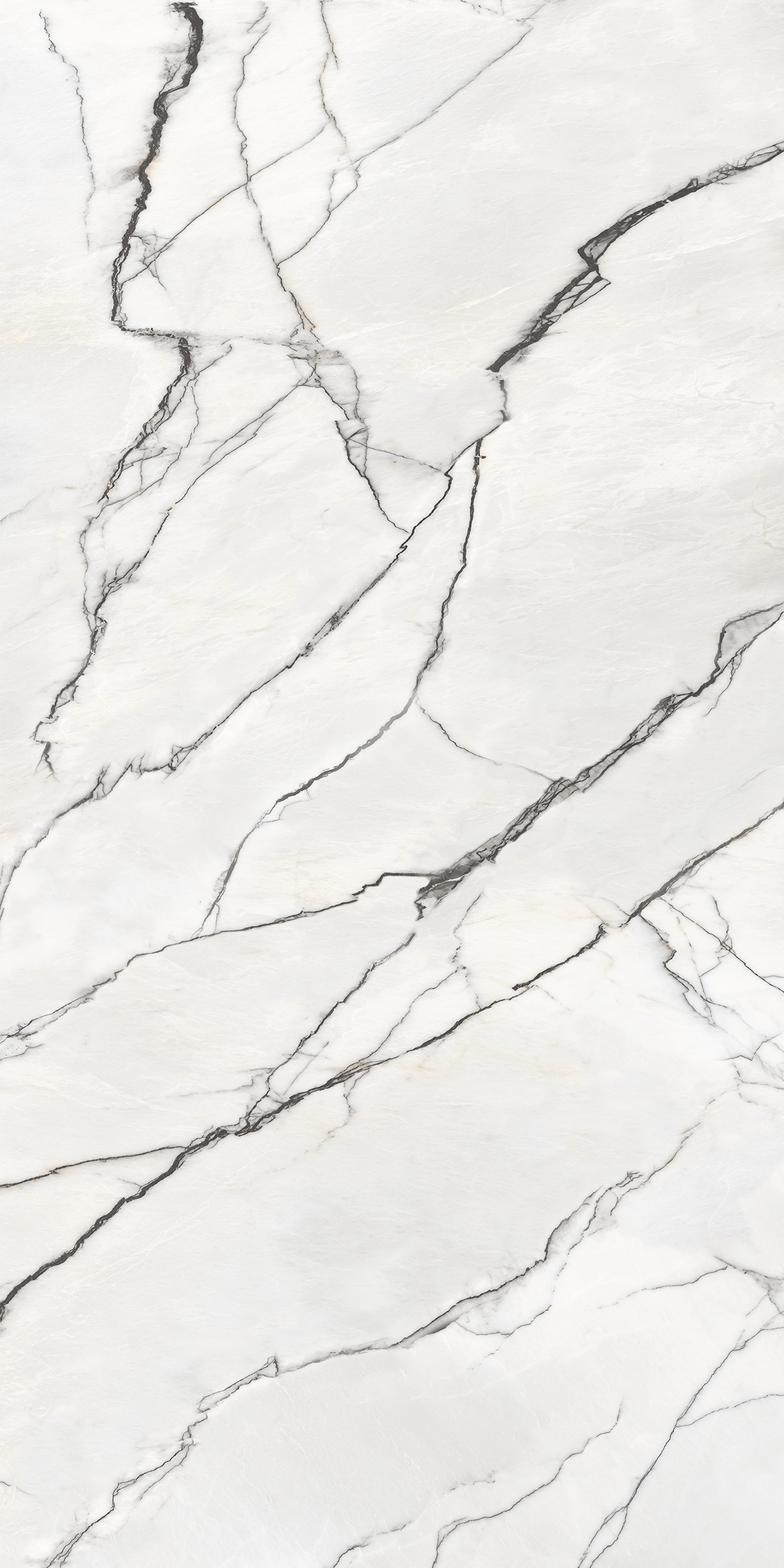 BREACH WHITE