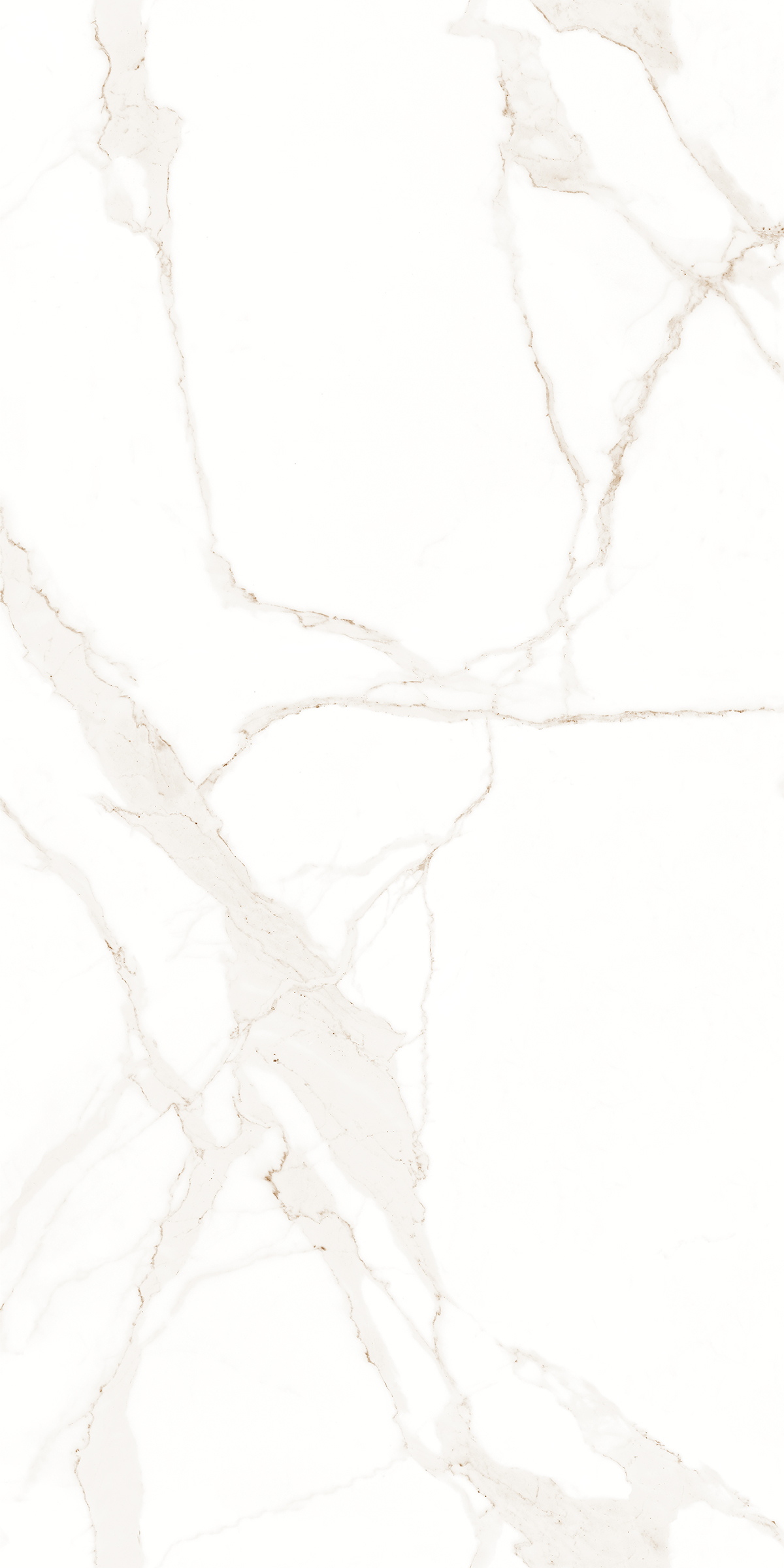 CALABRIA WHITE