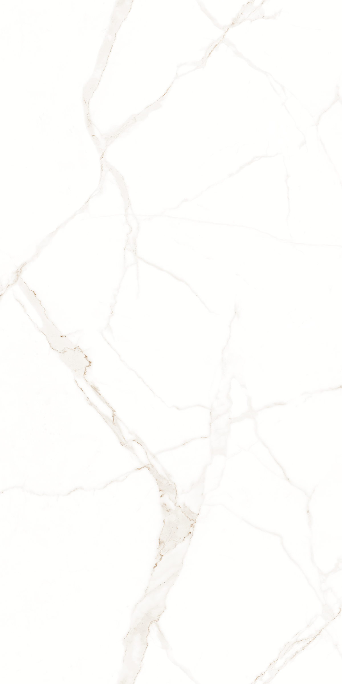 CALABRIA WHITE