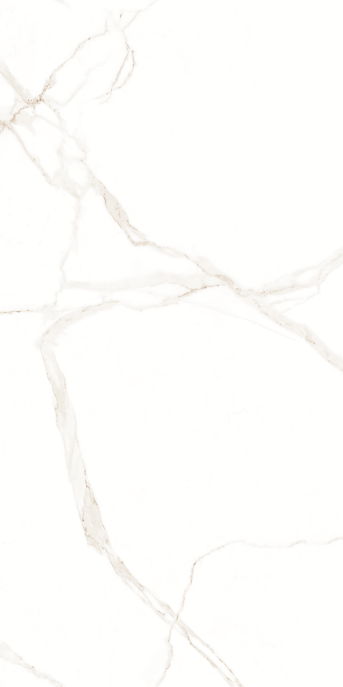CALABRIA WHITE
