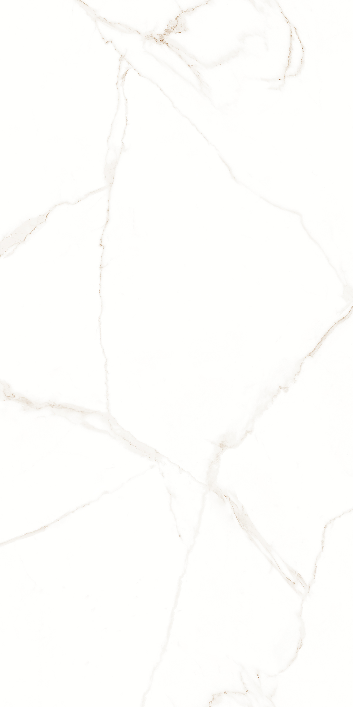 CALABRIA WHITE