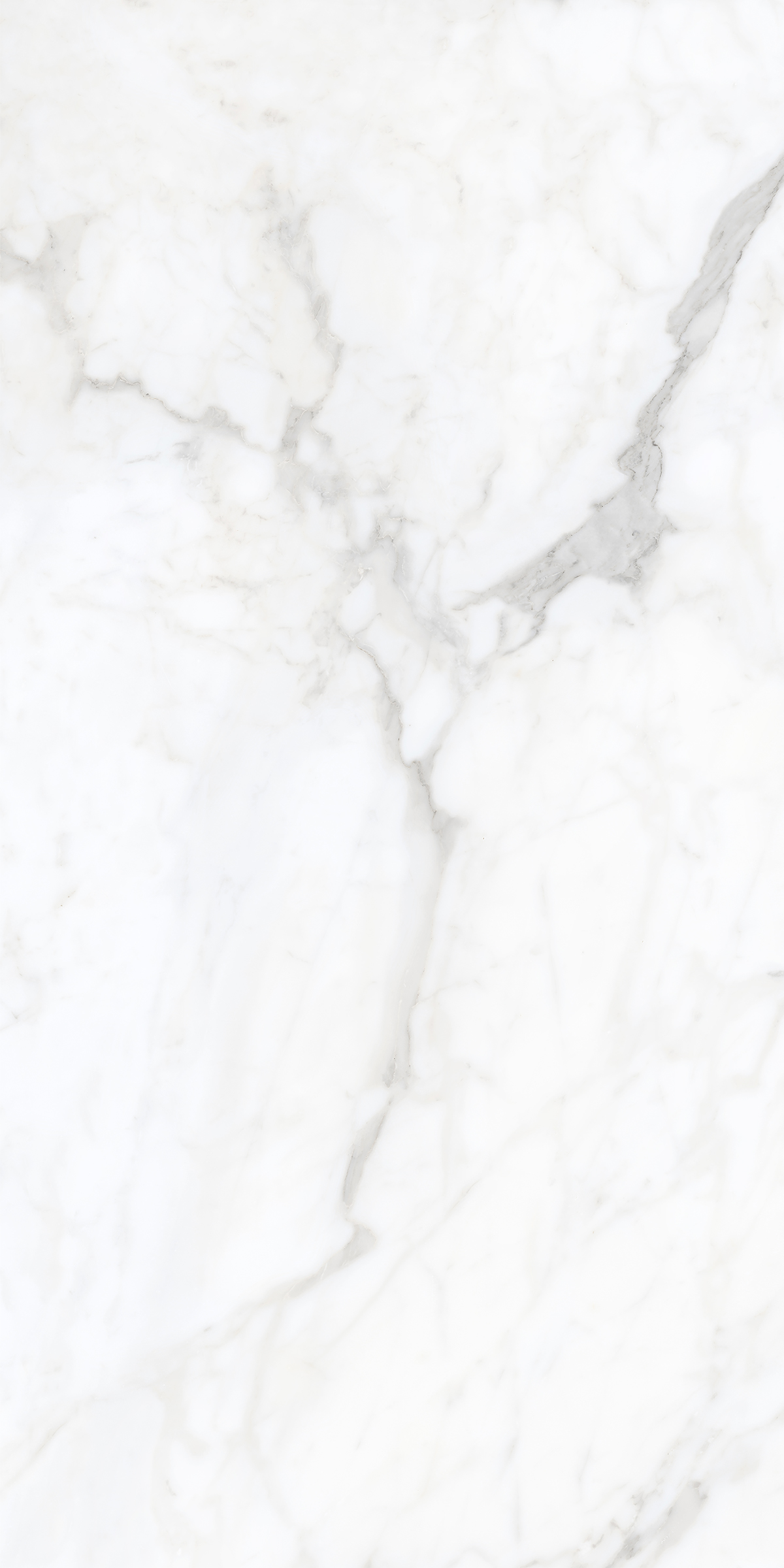 ATLANTIC BIANCO