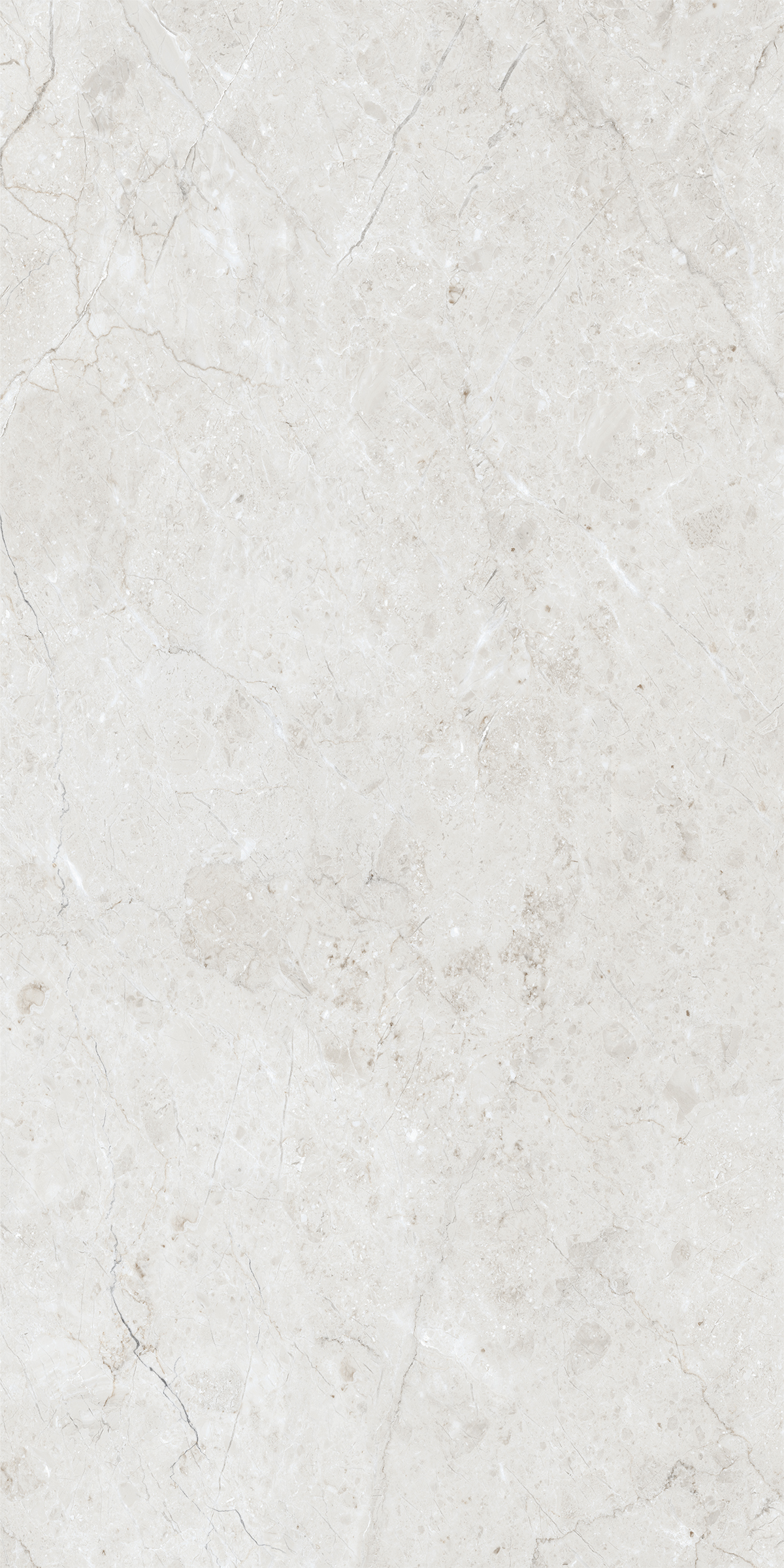 BELFAST WHITE