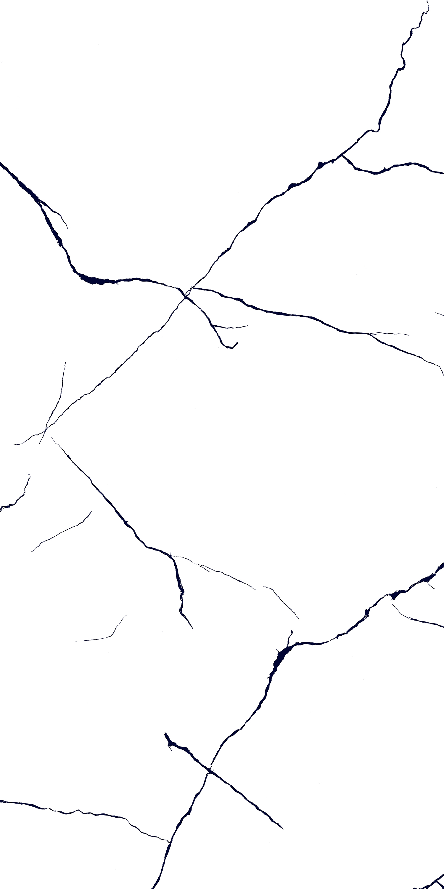 BLACK LINE