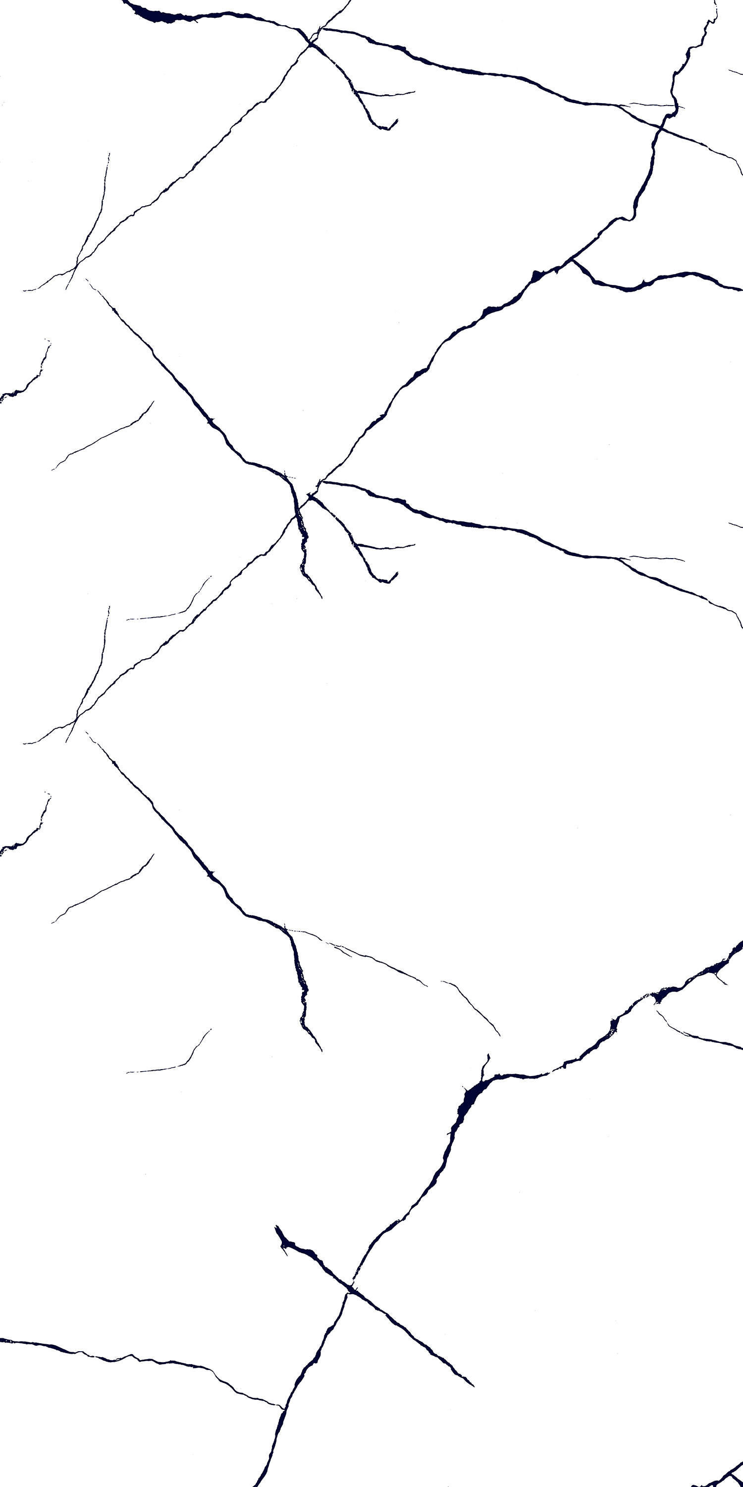 BLACK LINE