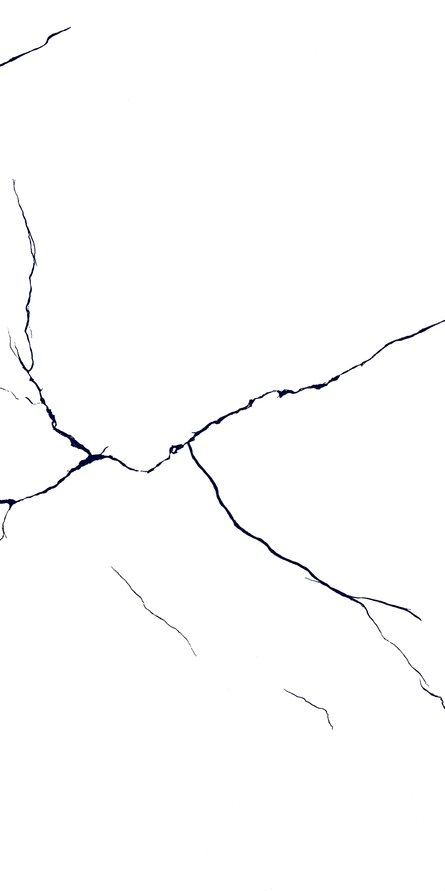 BLACK LINE