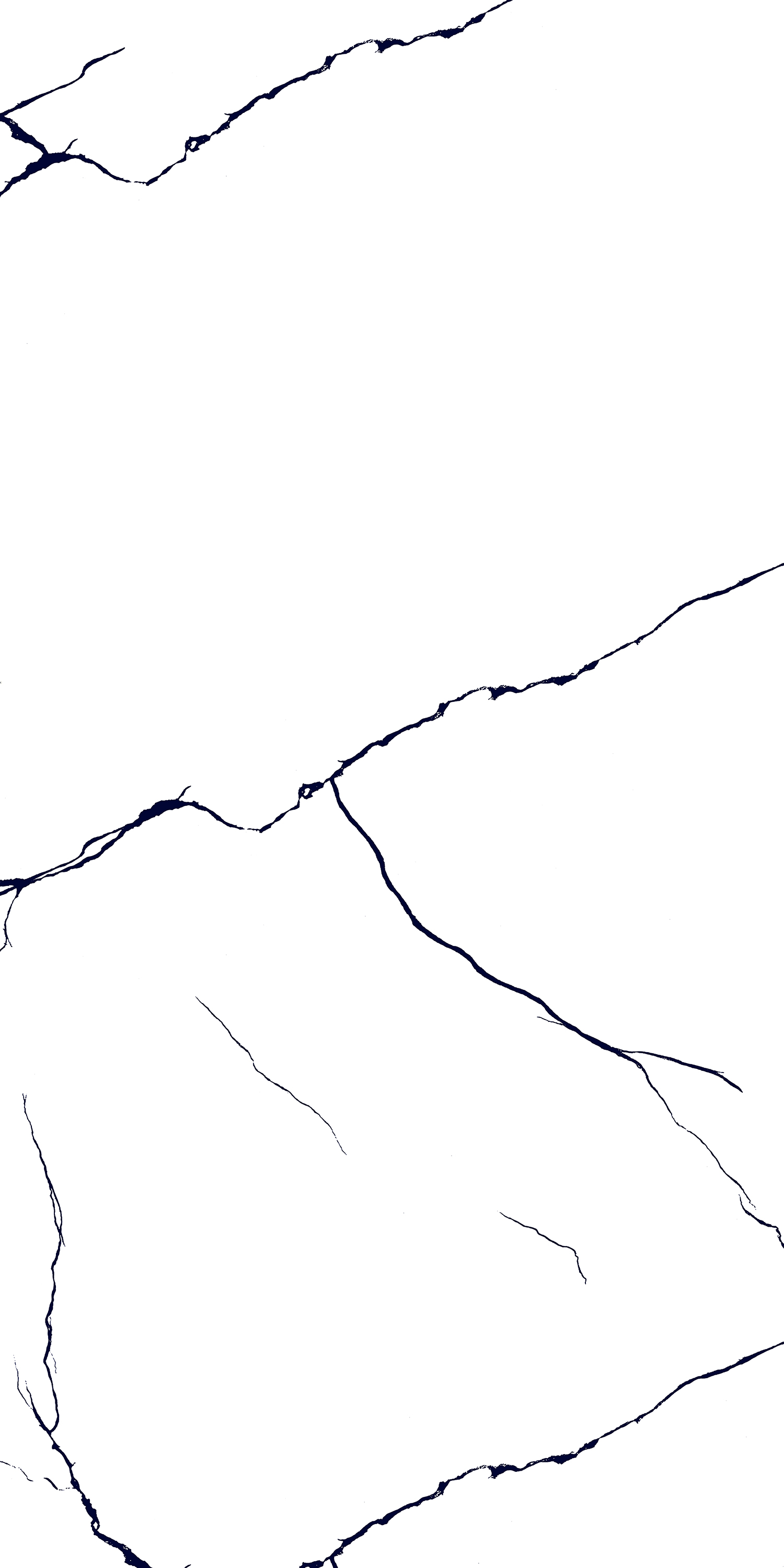 BLACK LINE