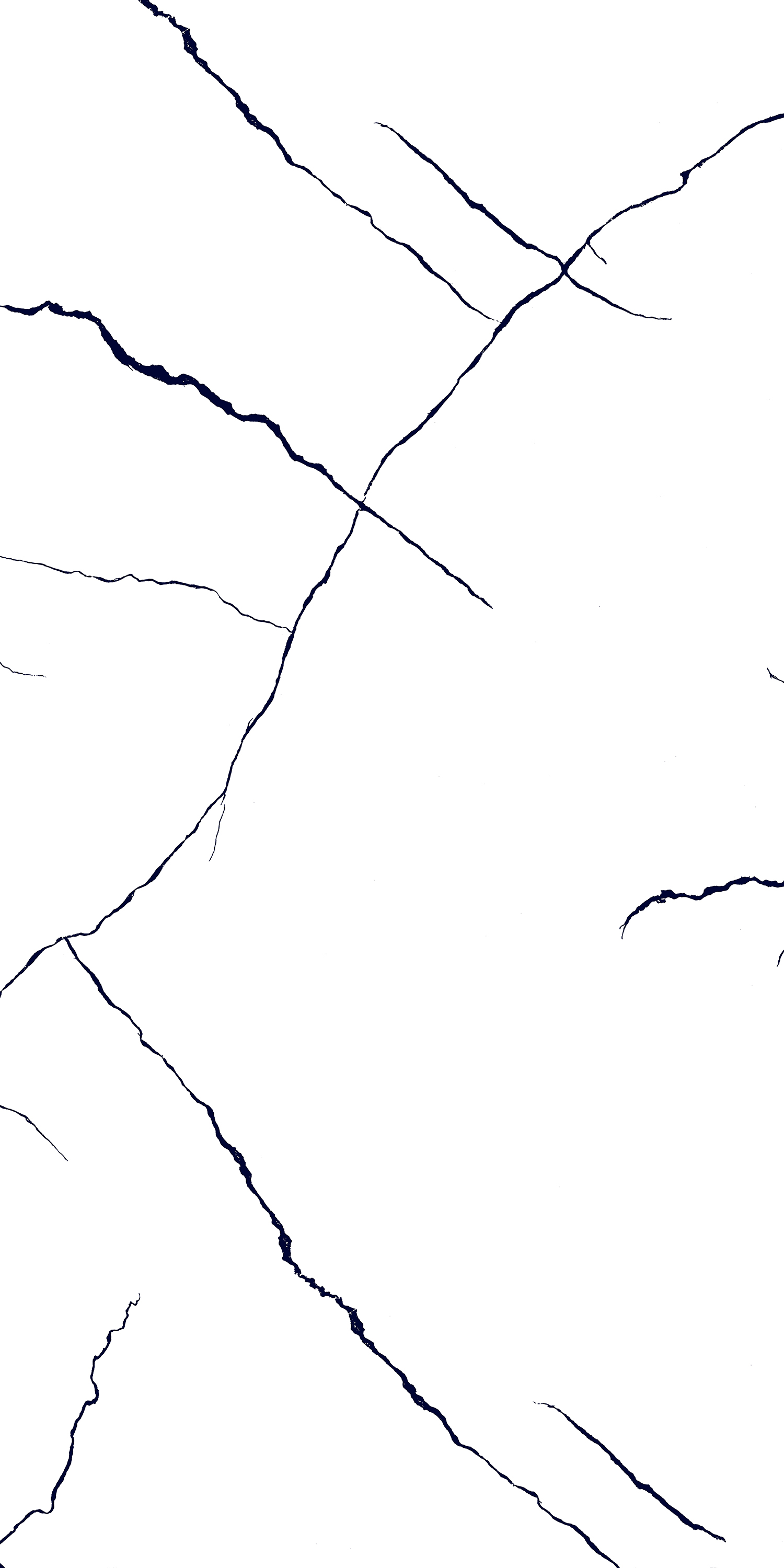 BLACK LINE