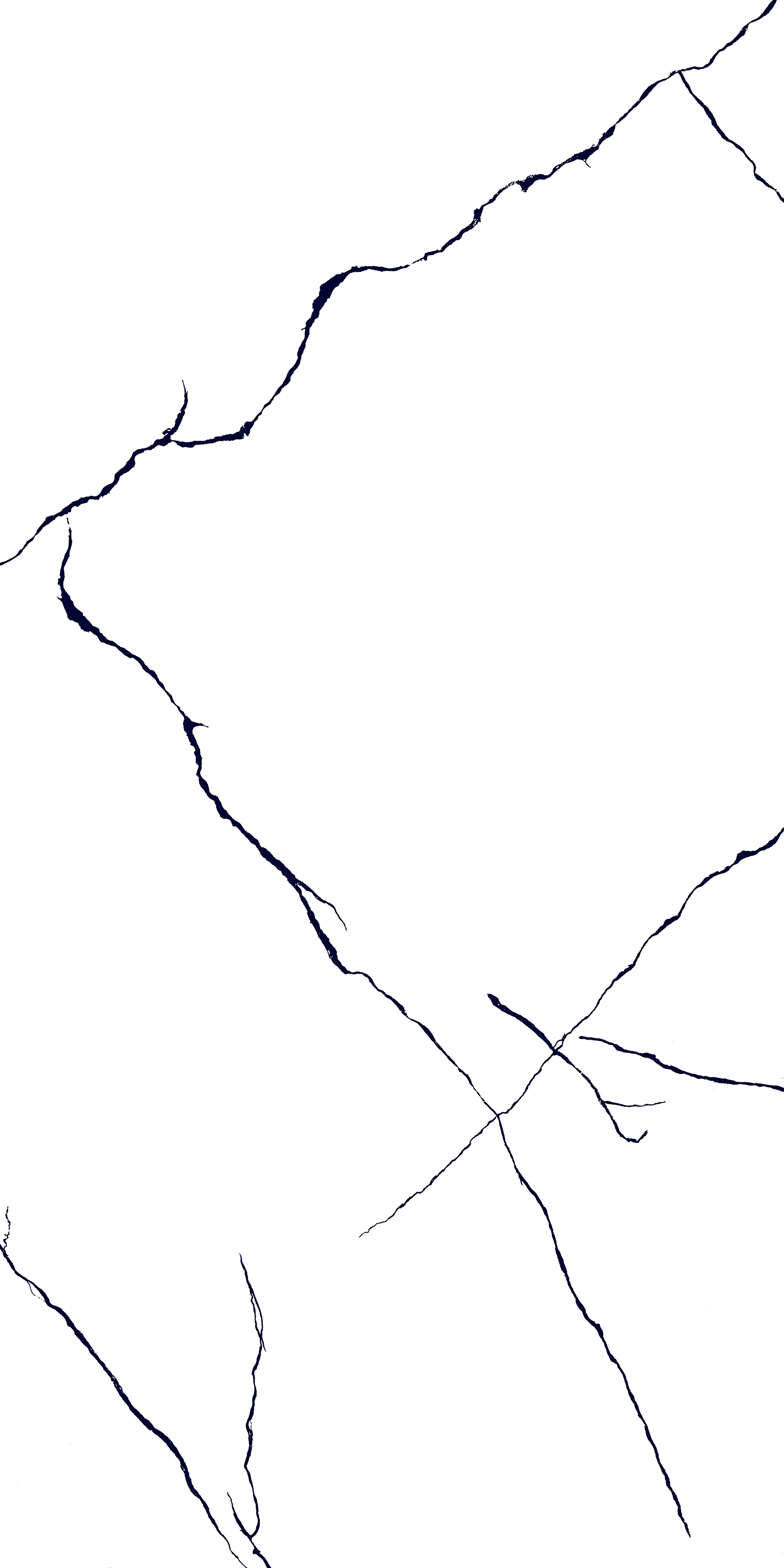 BLACK LINE
