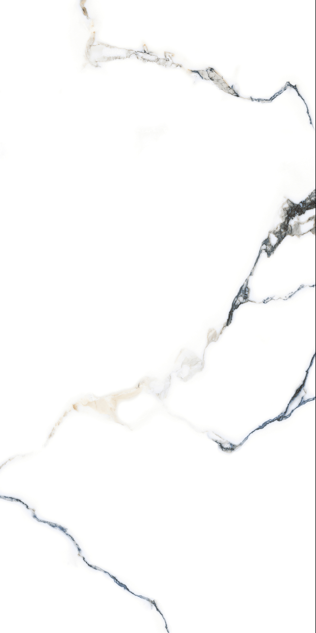 CALACATTA  CALVIN