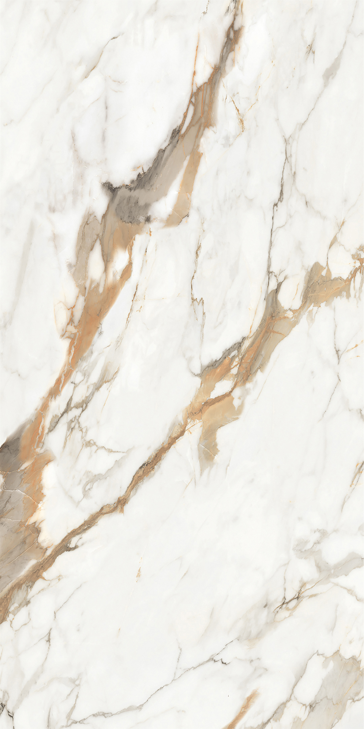 CALACATTA LUXE