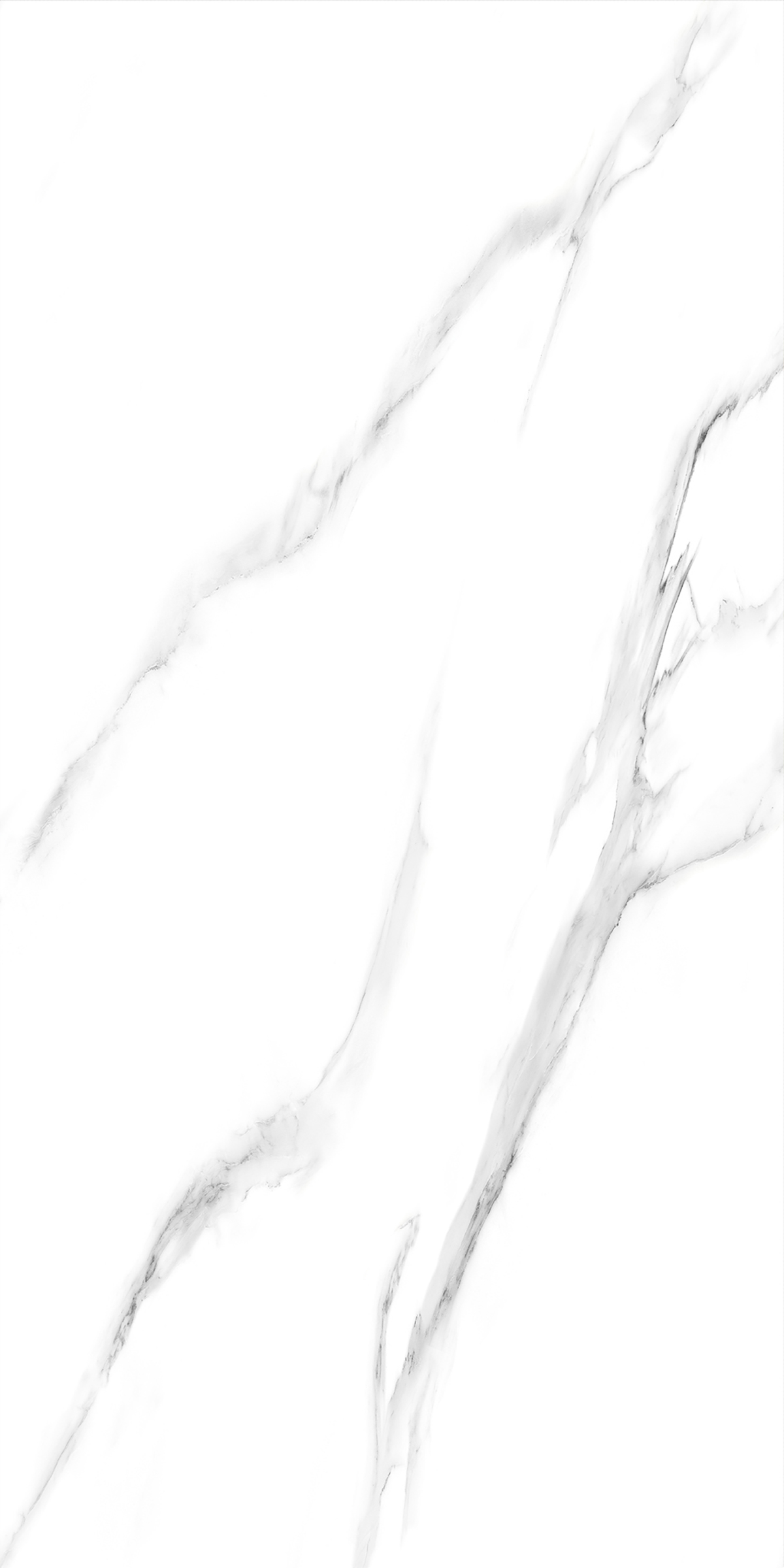 CALCATTA ELITE GREY