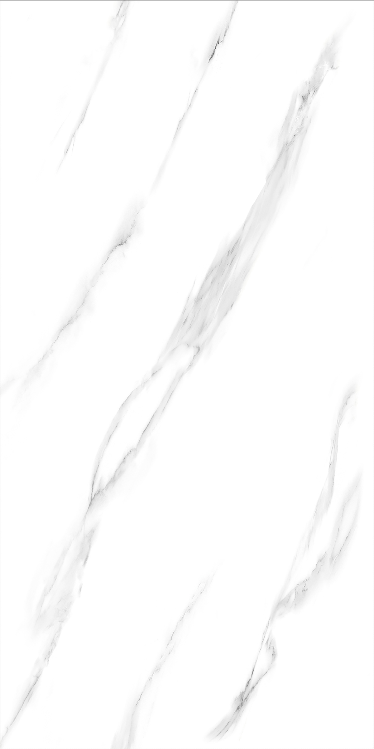 CALCATTA ELITE GREY