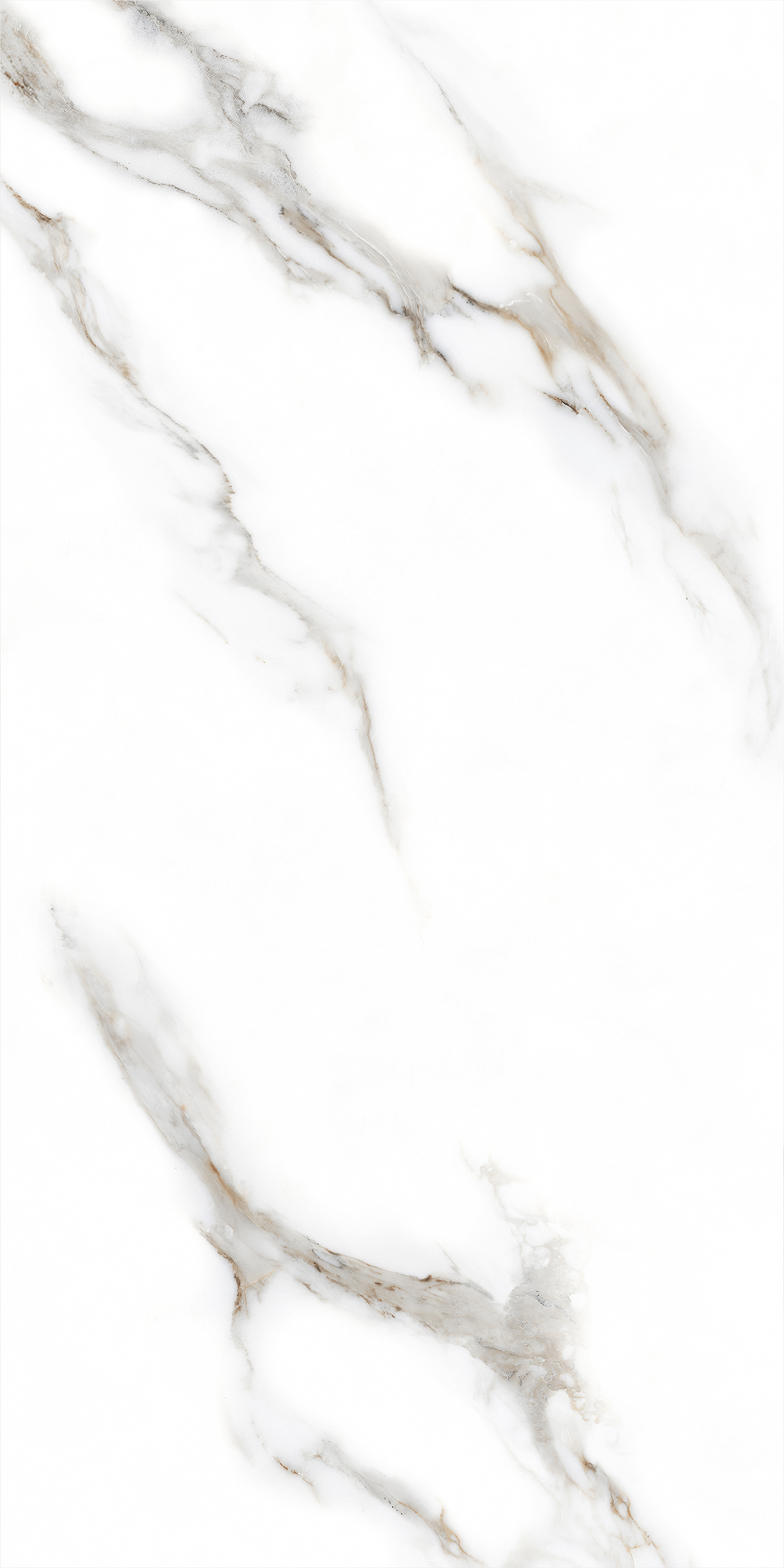 CARARA SILK