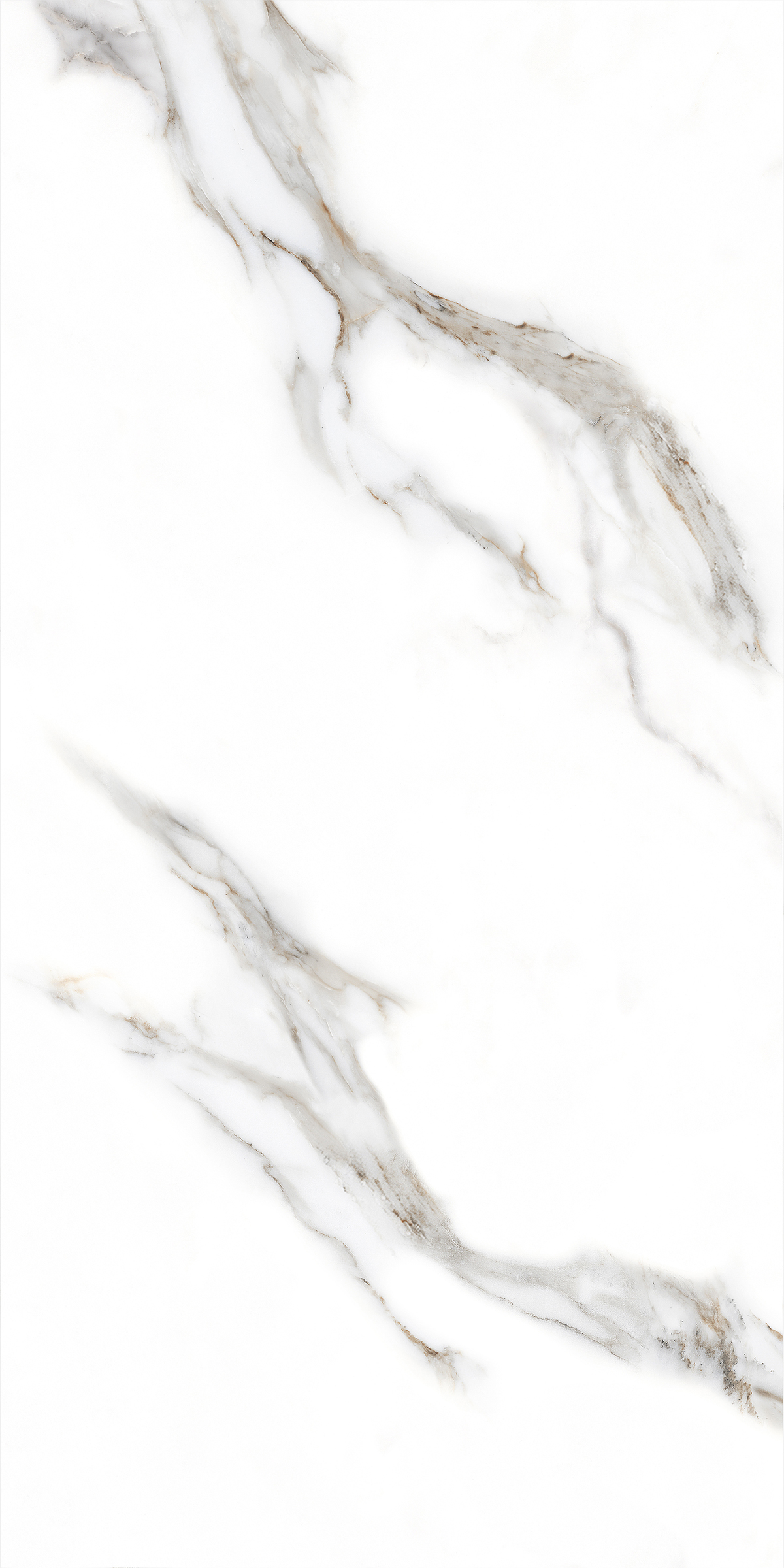 CARARA SILK