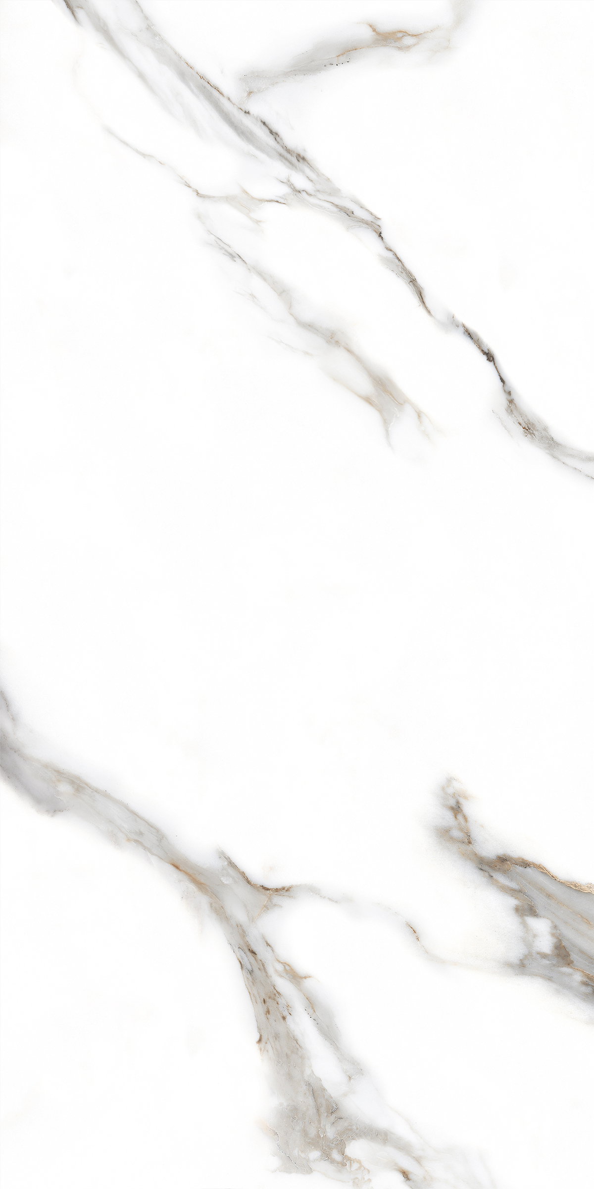 CARARA SILK
