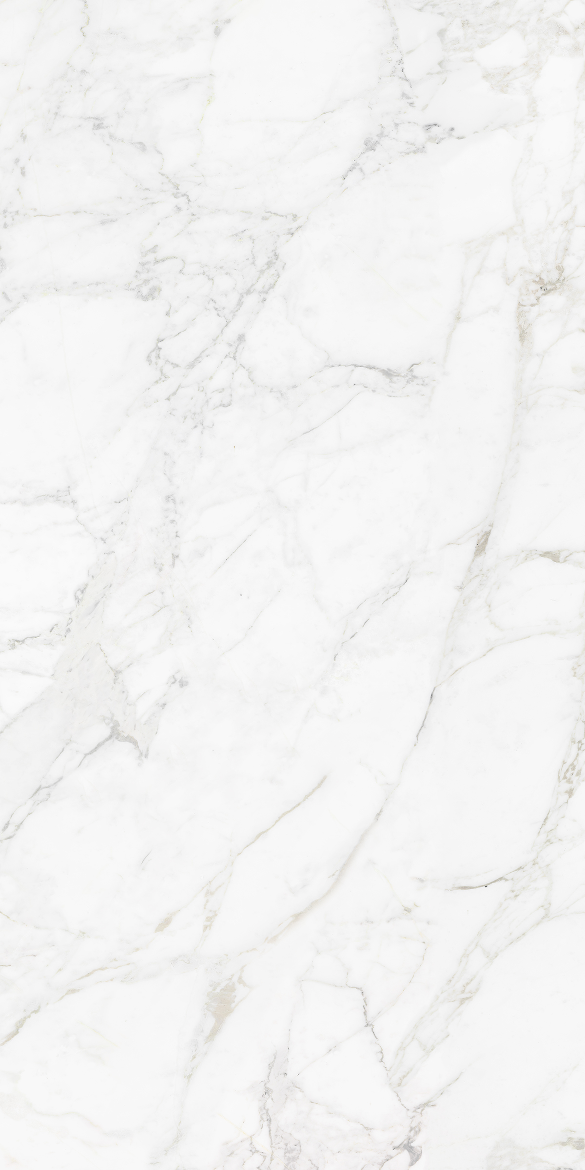 CARRARA BIANCO