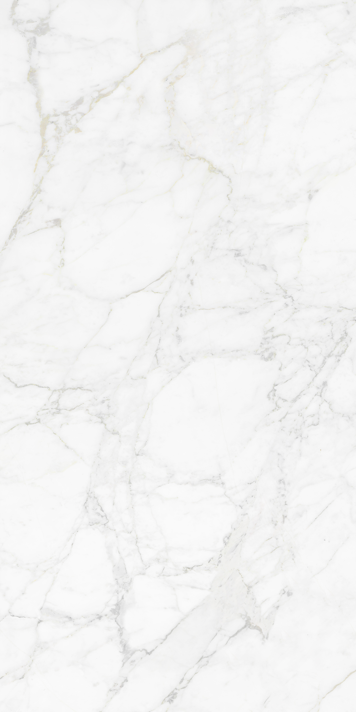 CARRARA BIANCO