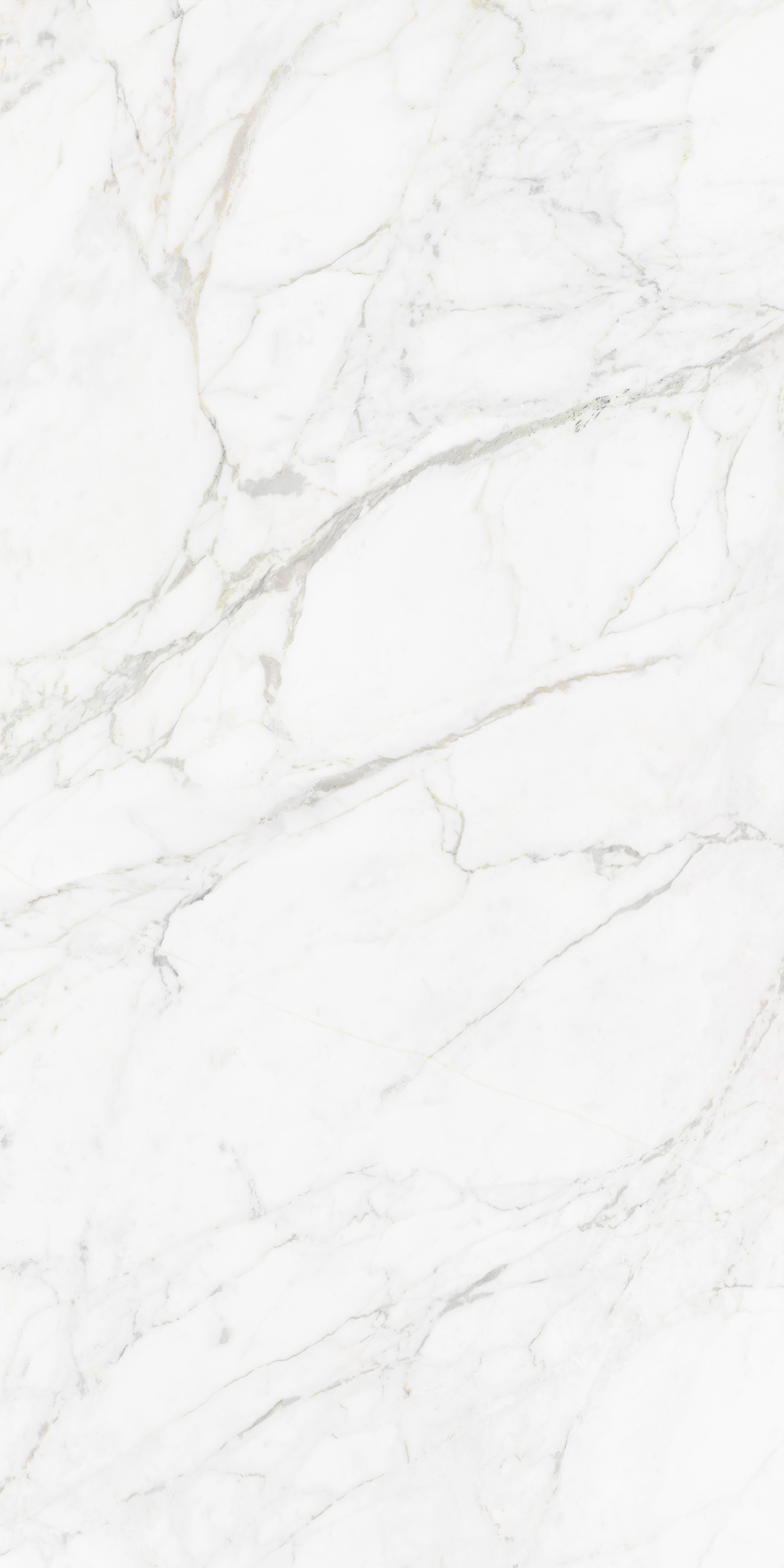 CARRARA BIANCO