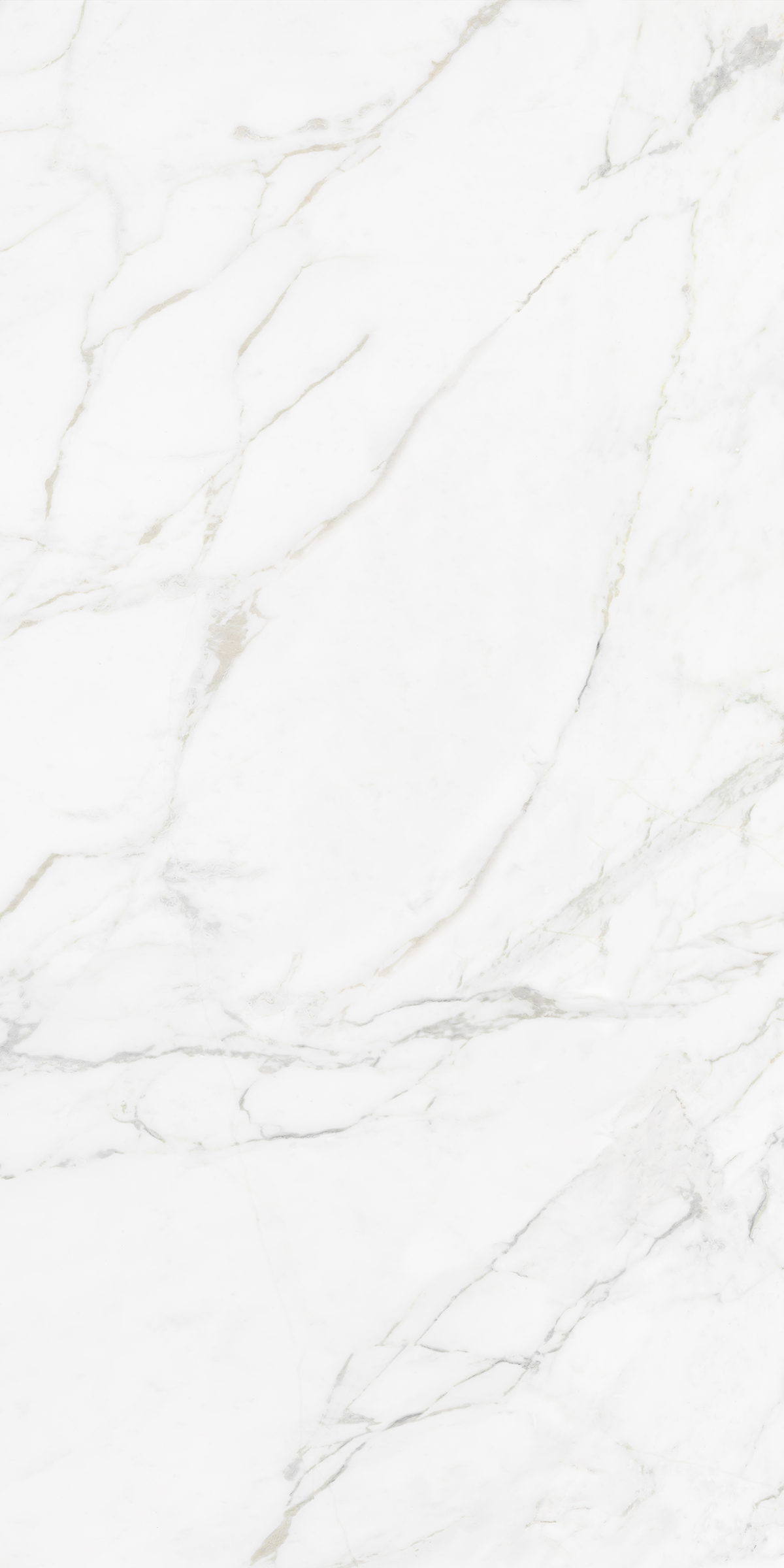 CARRARA BIANCO