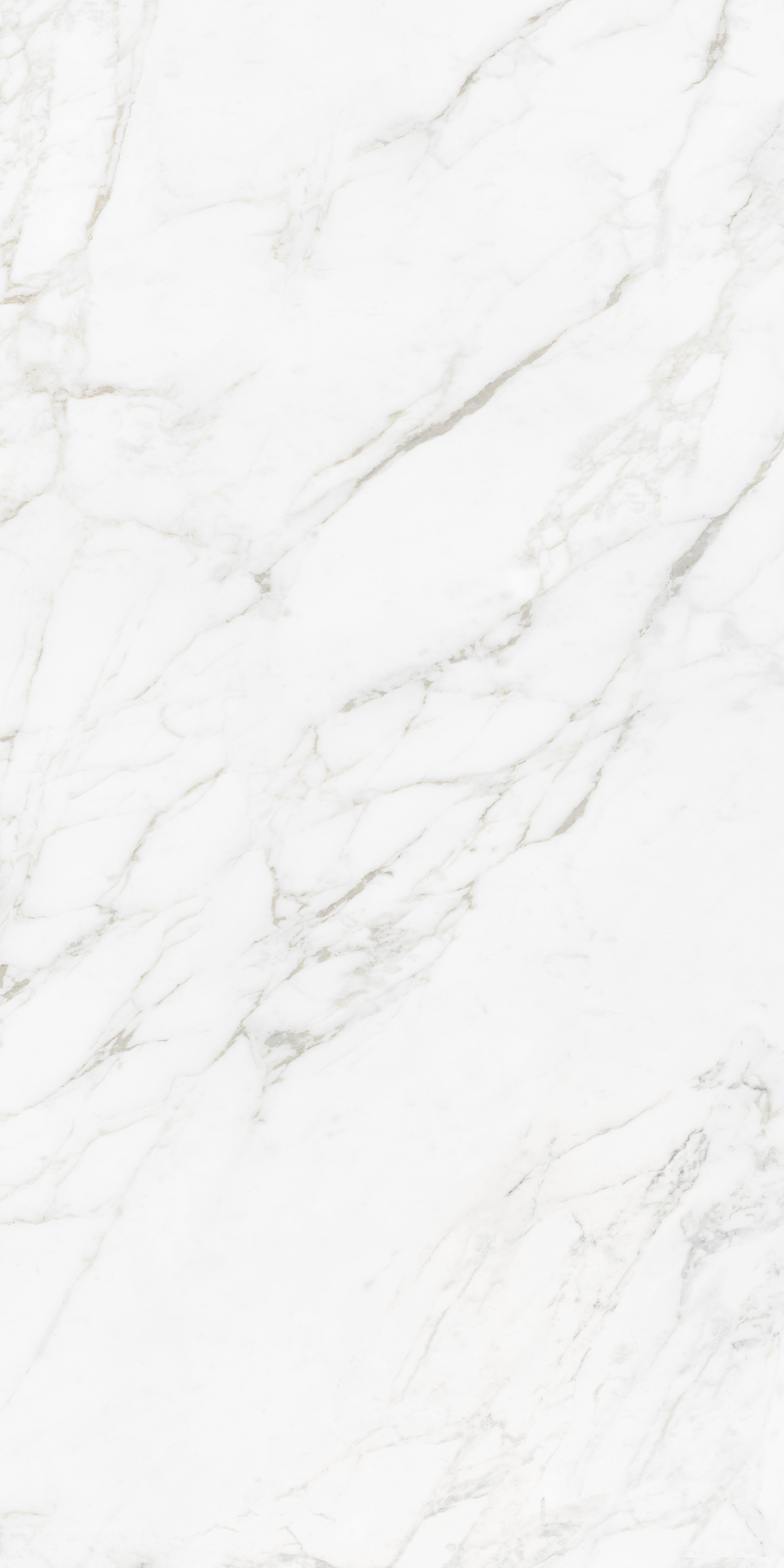 CARRARA BIANCO